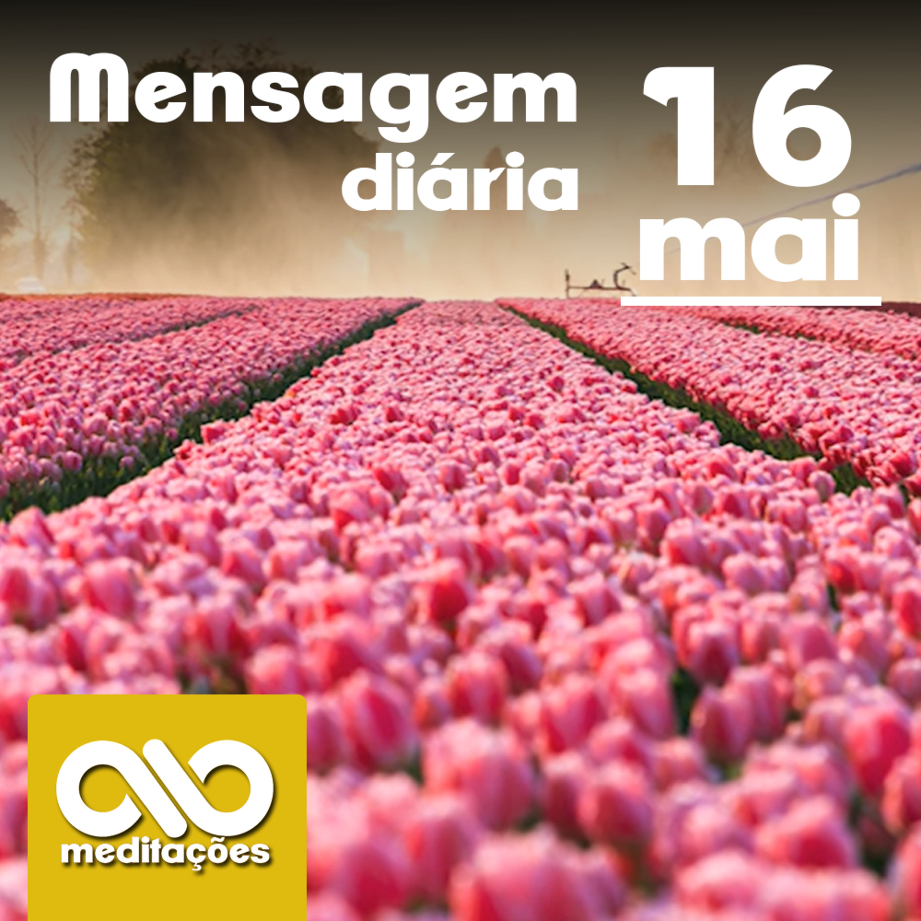 Meditações