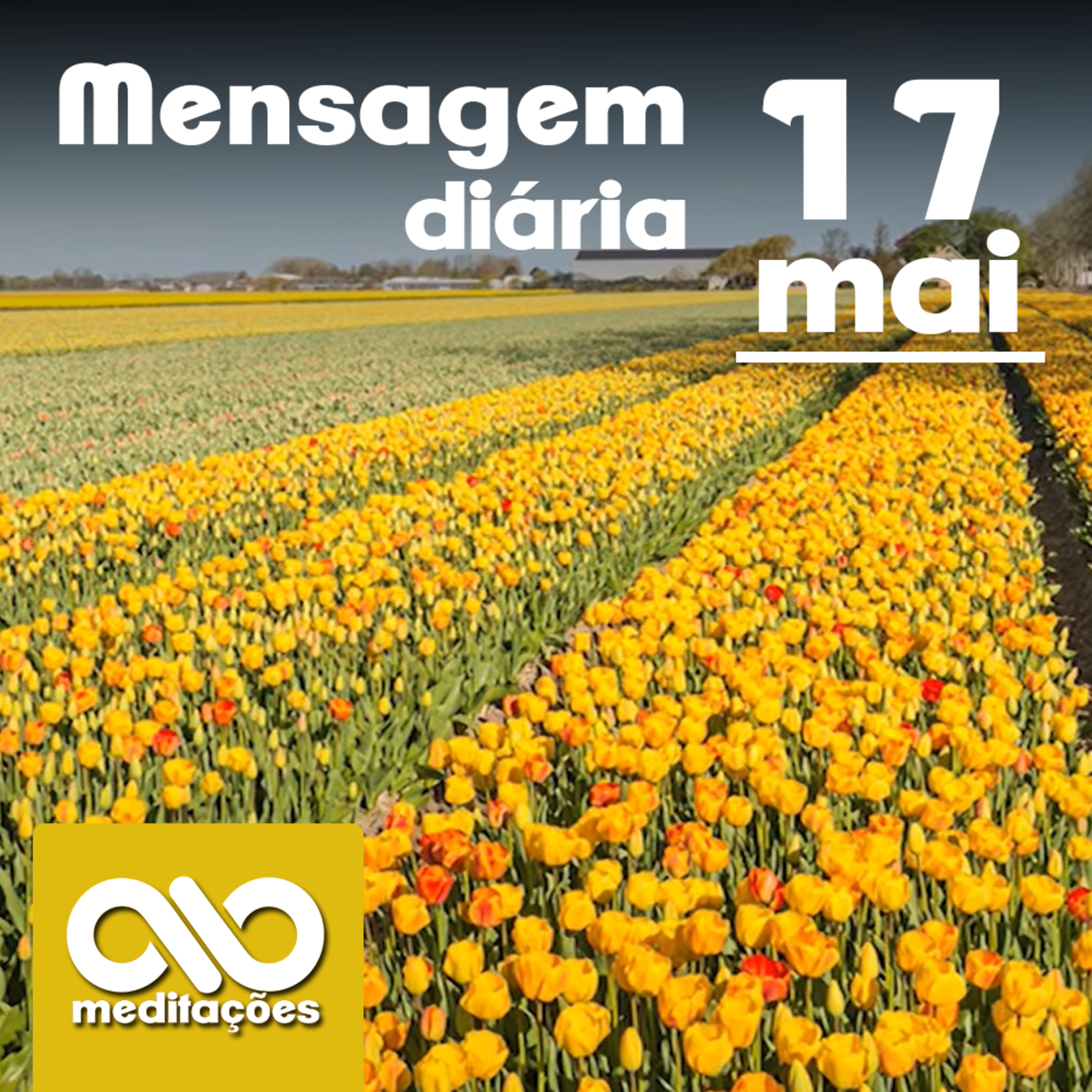 Meditações