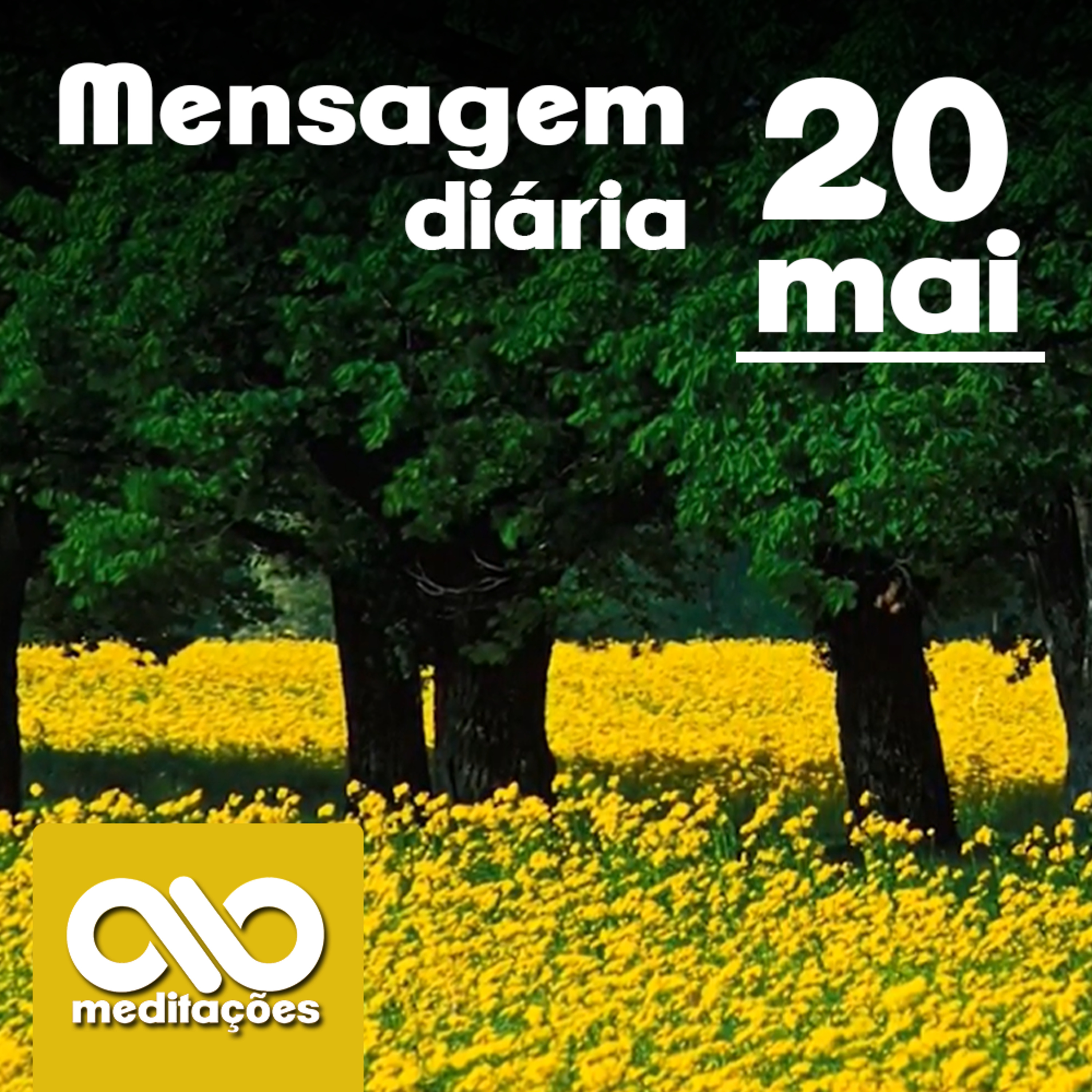 Meditações