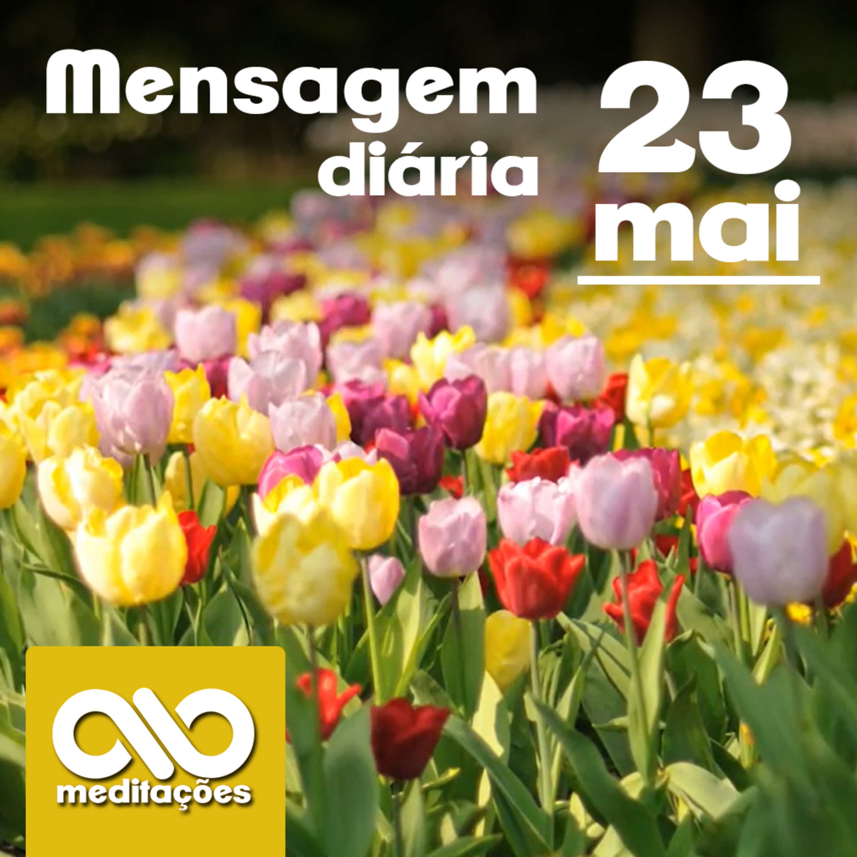 Meditações