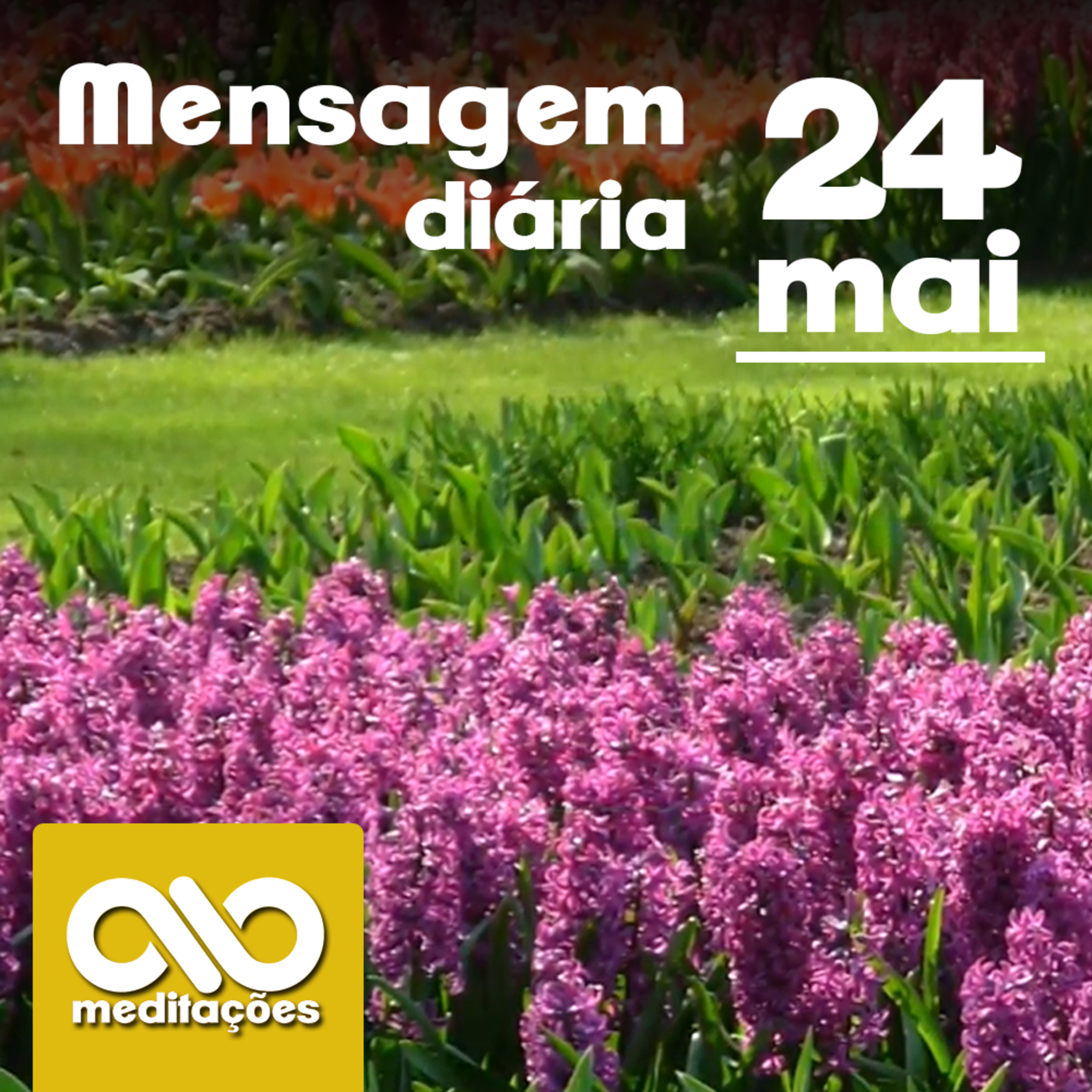 Meditações