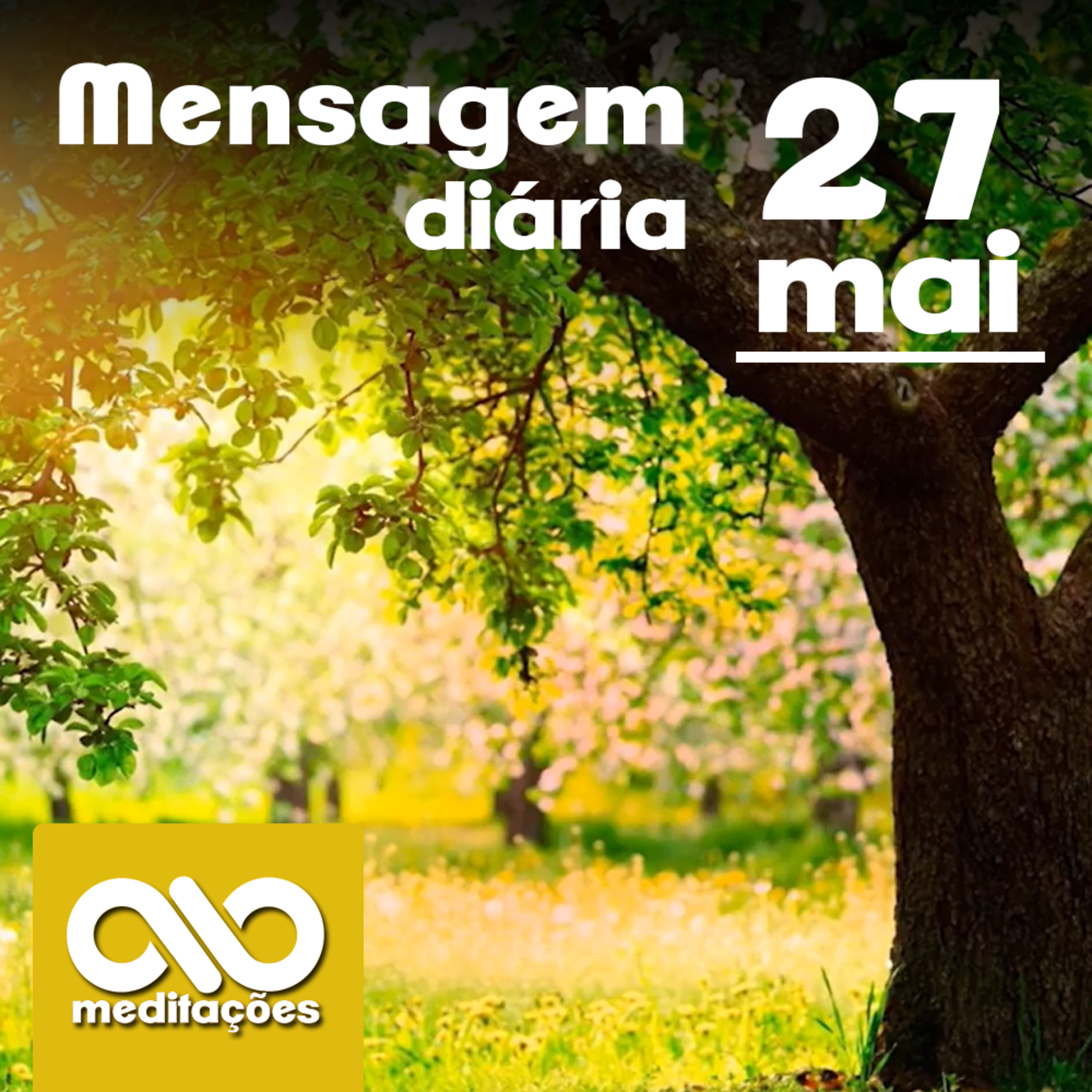 Meditações