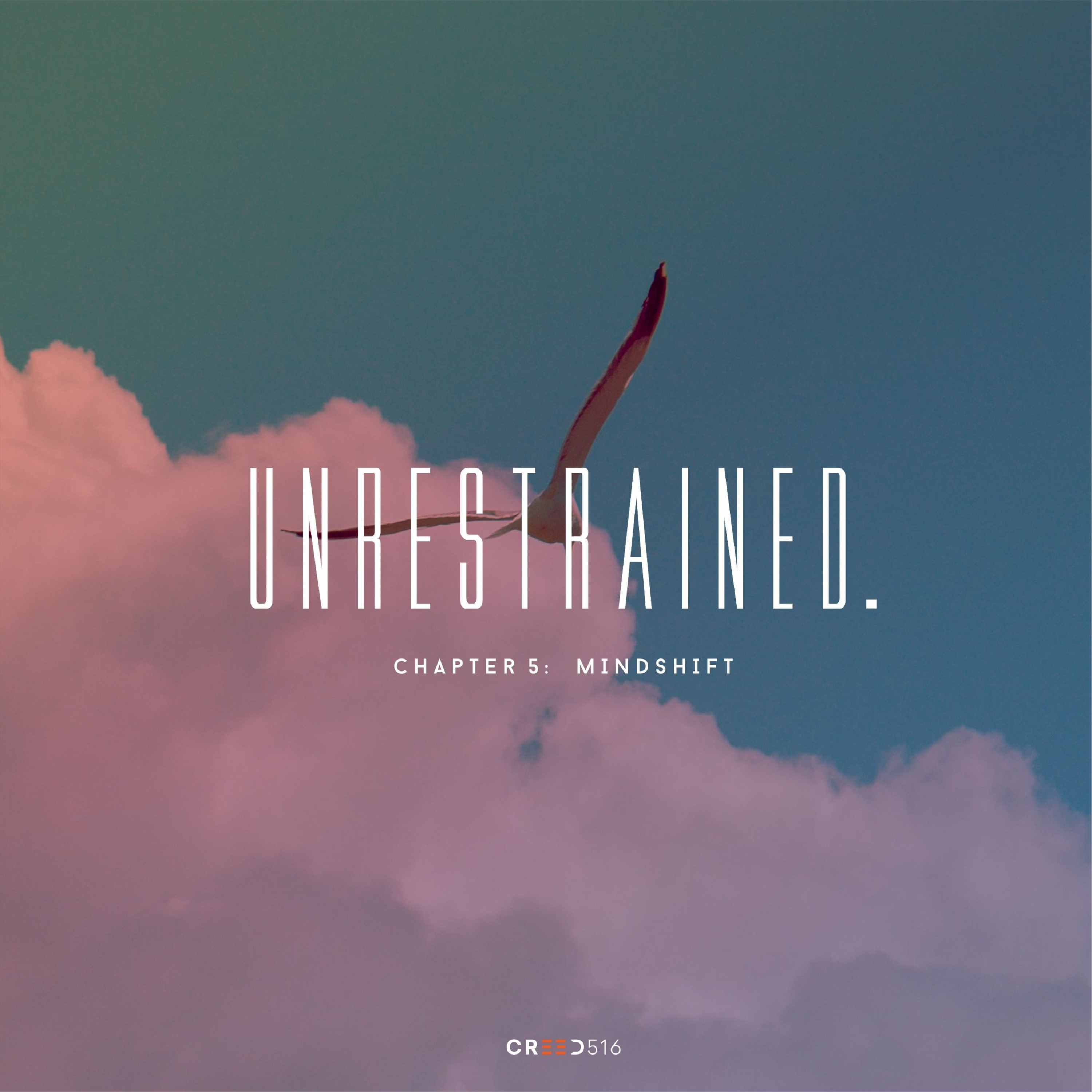 Unrestrained episode artwork