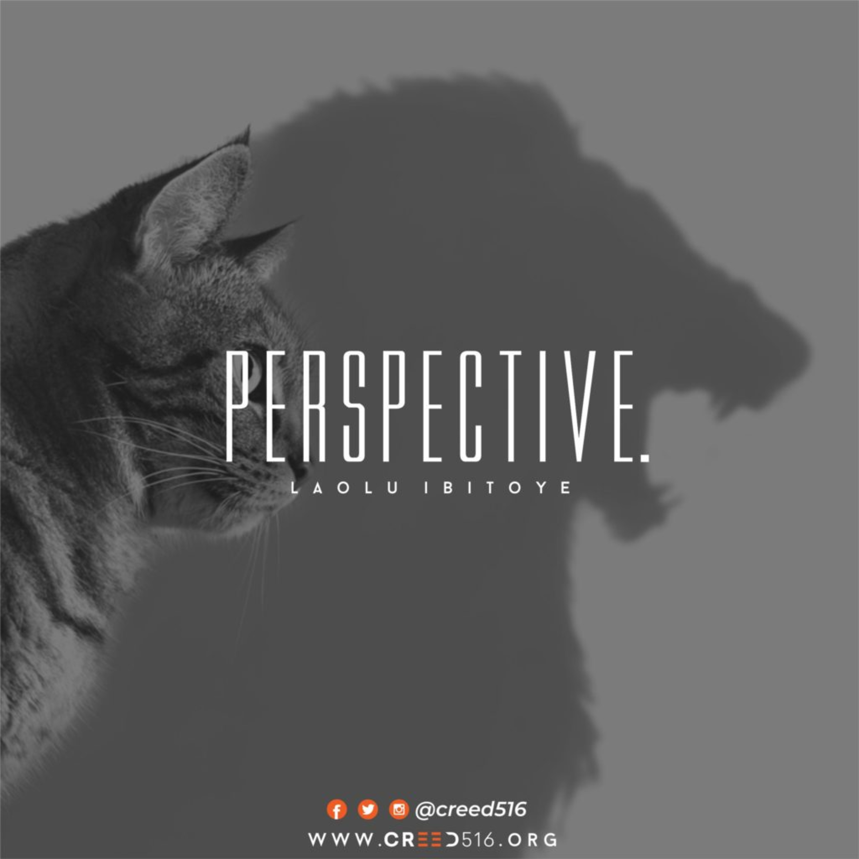 Perspective episode artwork