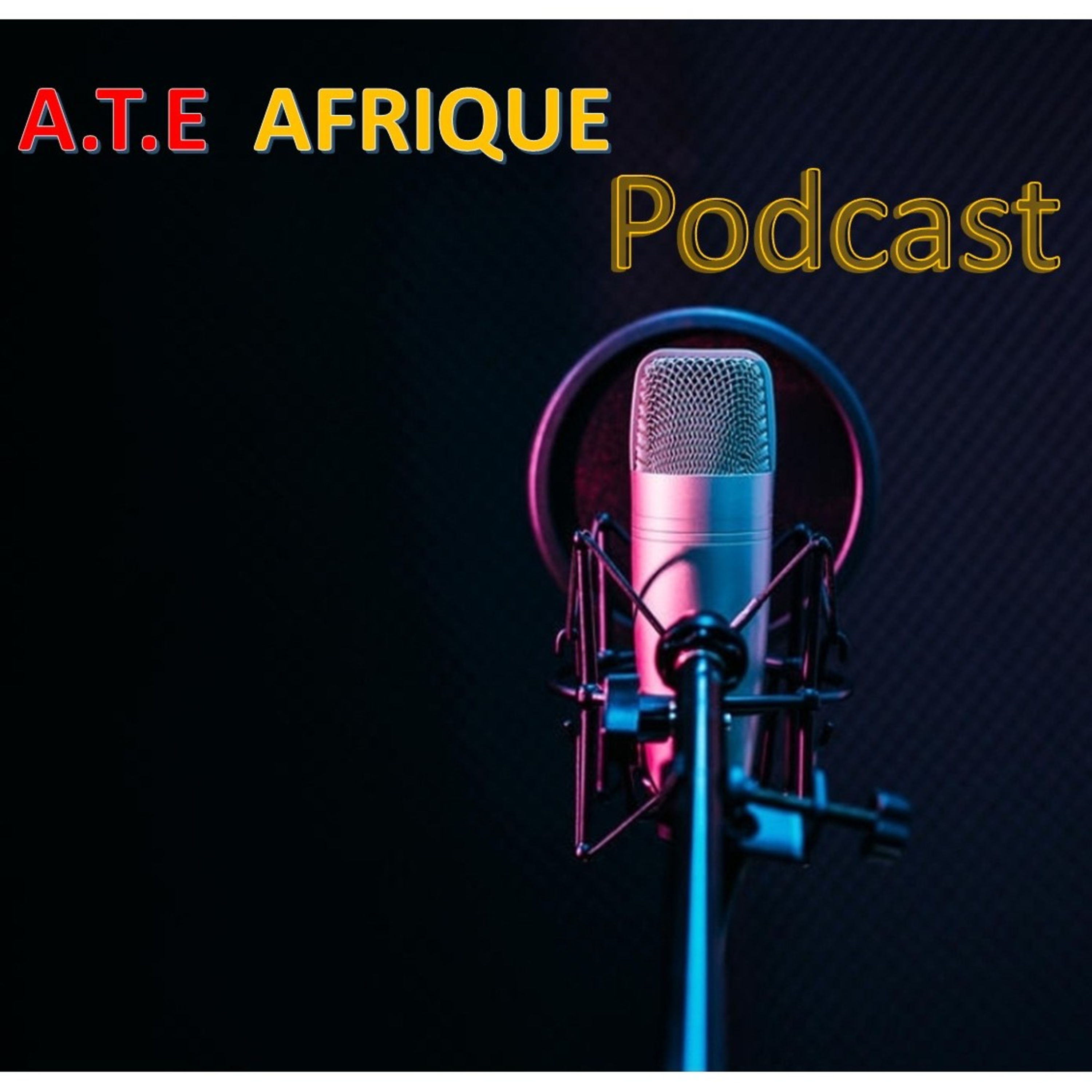 ATE Afrique Podcast, Une Production des Amis de la terre et de l\'environnement Afrique