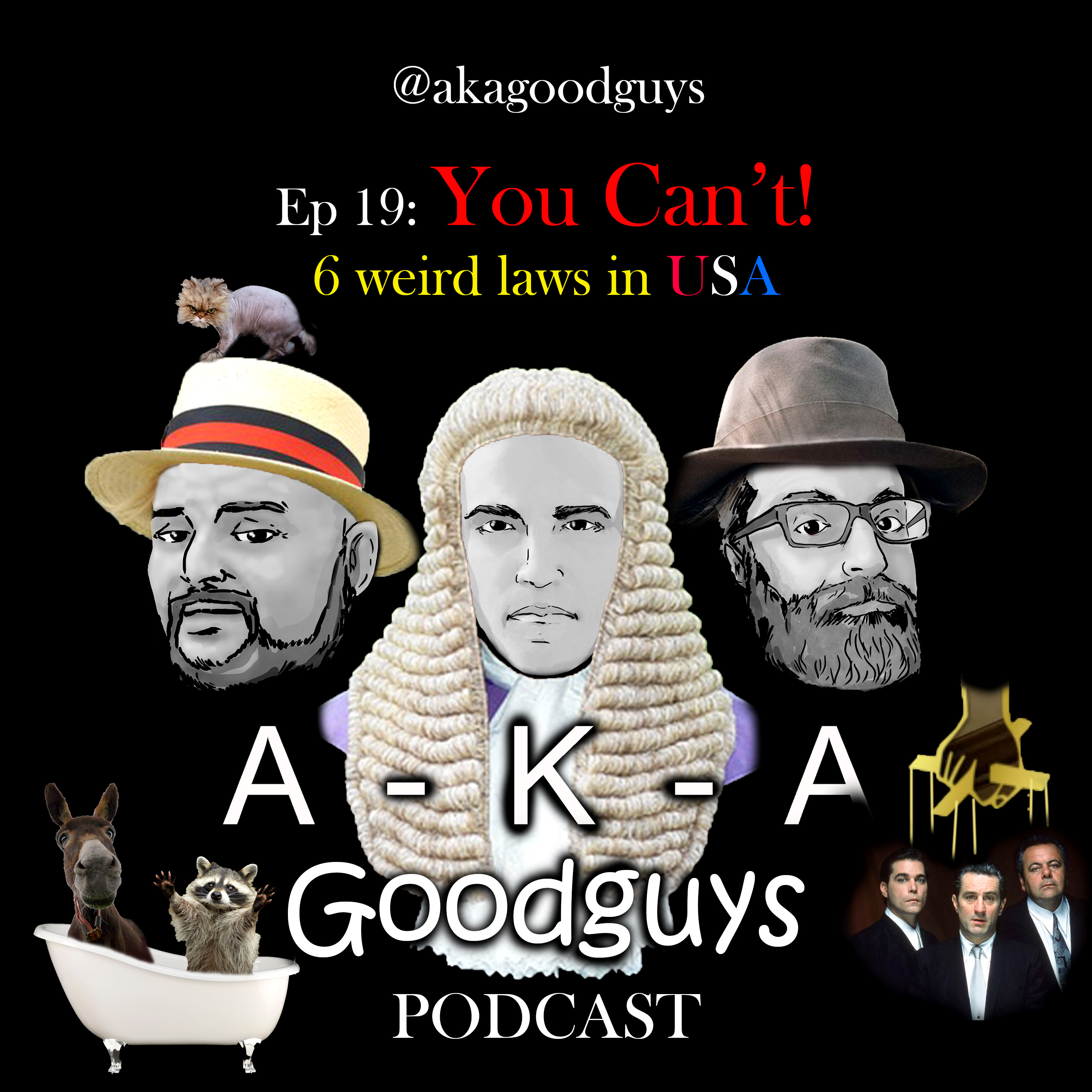 Ep 19: You Can't! 6 weird laws from USA episode artwork