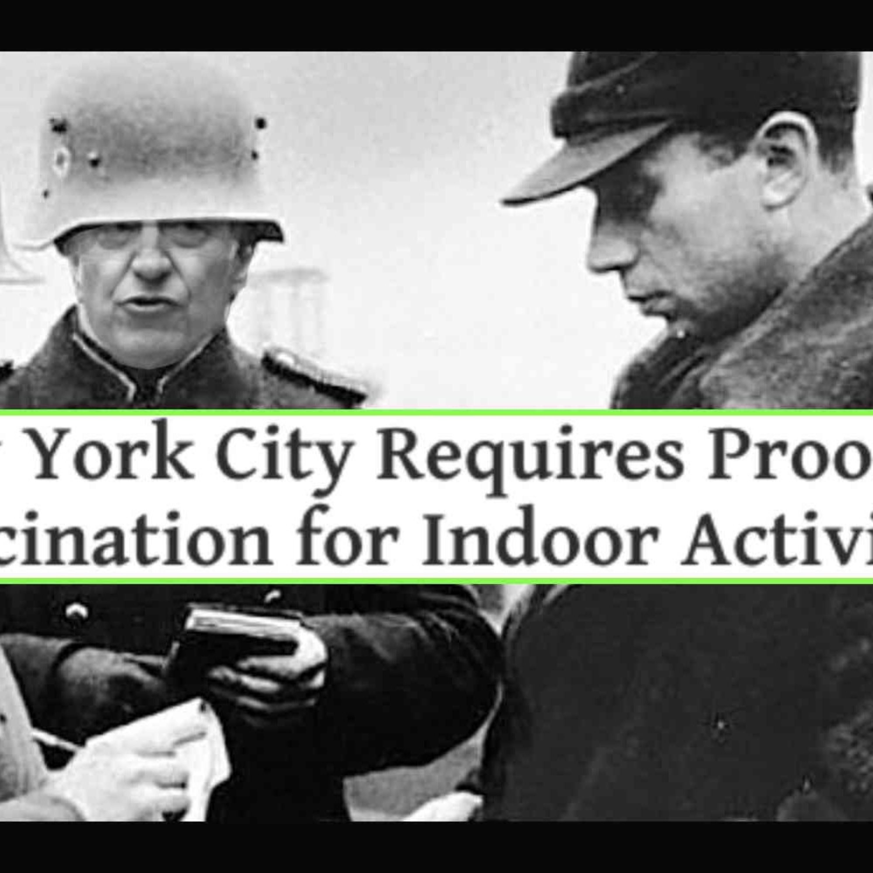 Episode 1461 - New York City is Arresting Those 'Without Papers' episode artwork