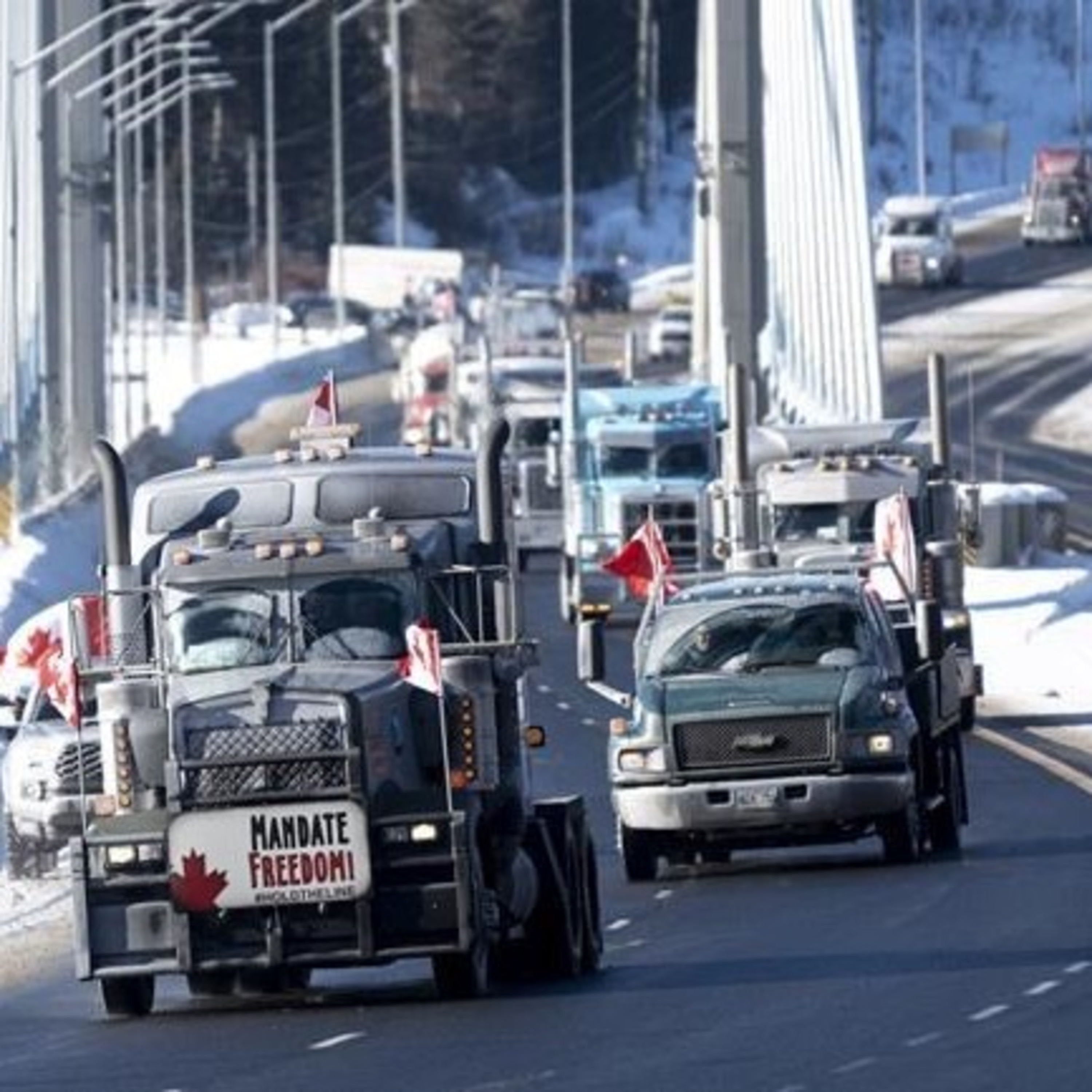 Ep 1491 - Latest on the Canadian Truckers Convoy Protest episode artwork