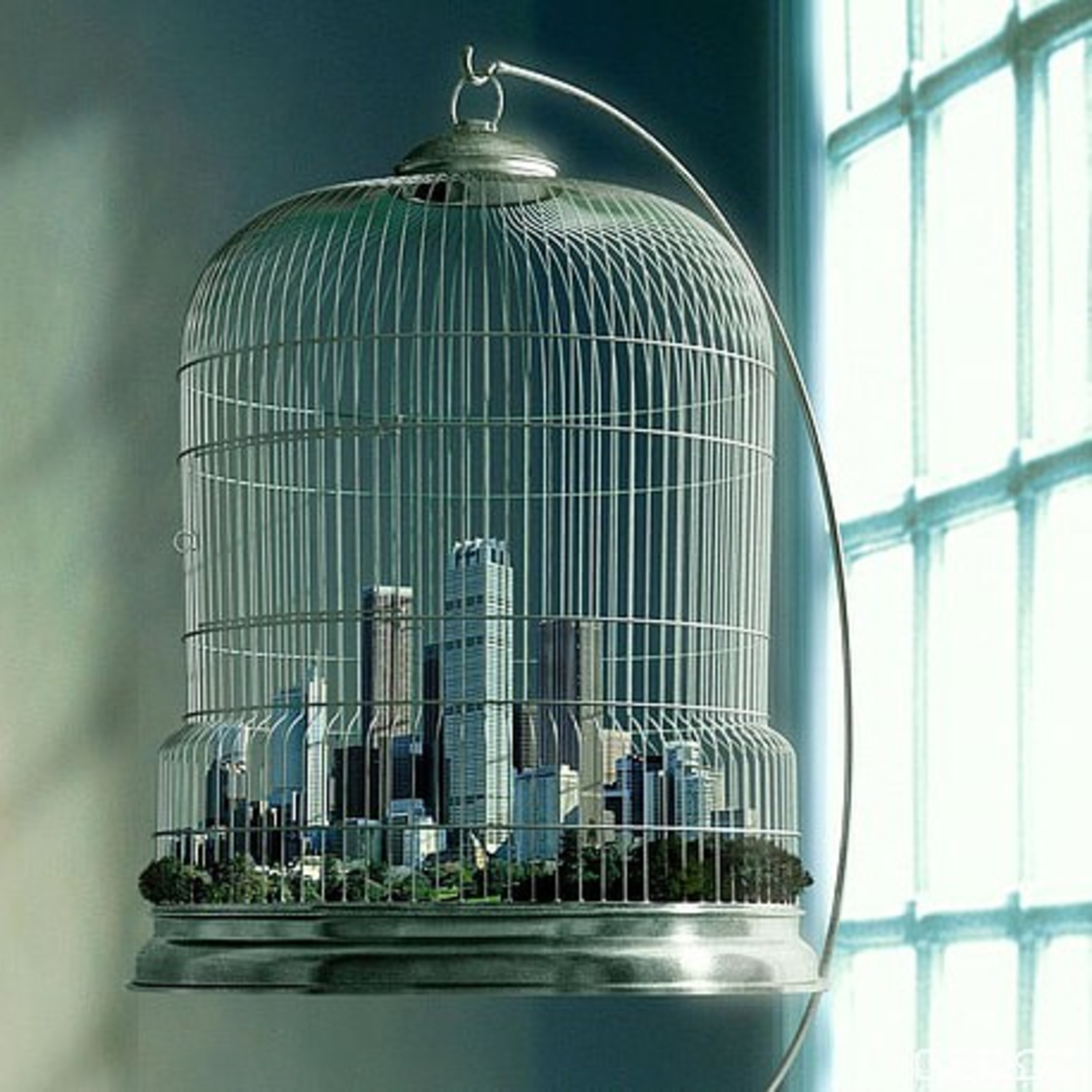 The Globalist Vision: 15 Minute Cities + Haters & Racists on Both Sides episode artwork