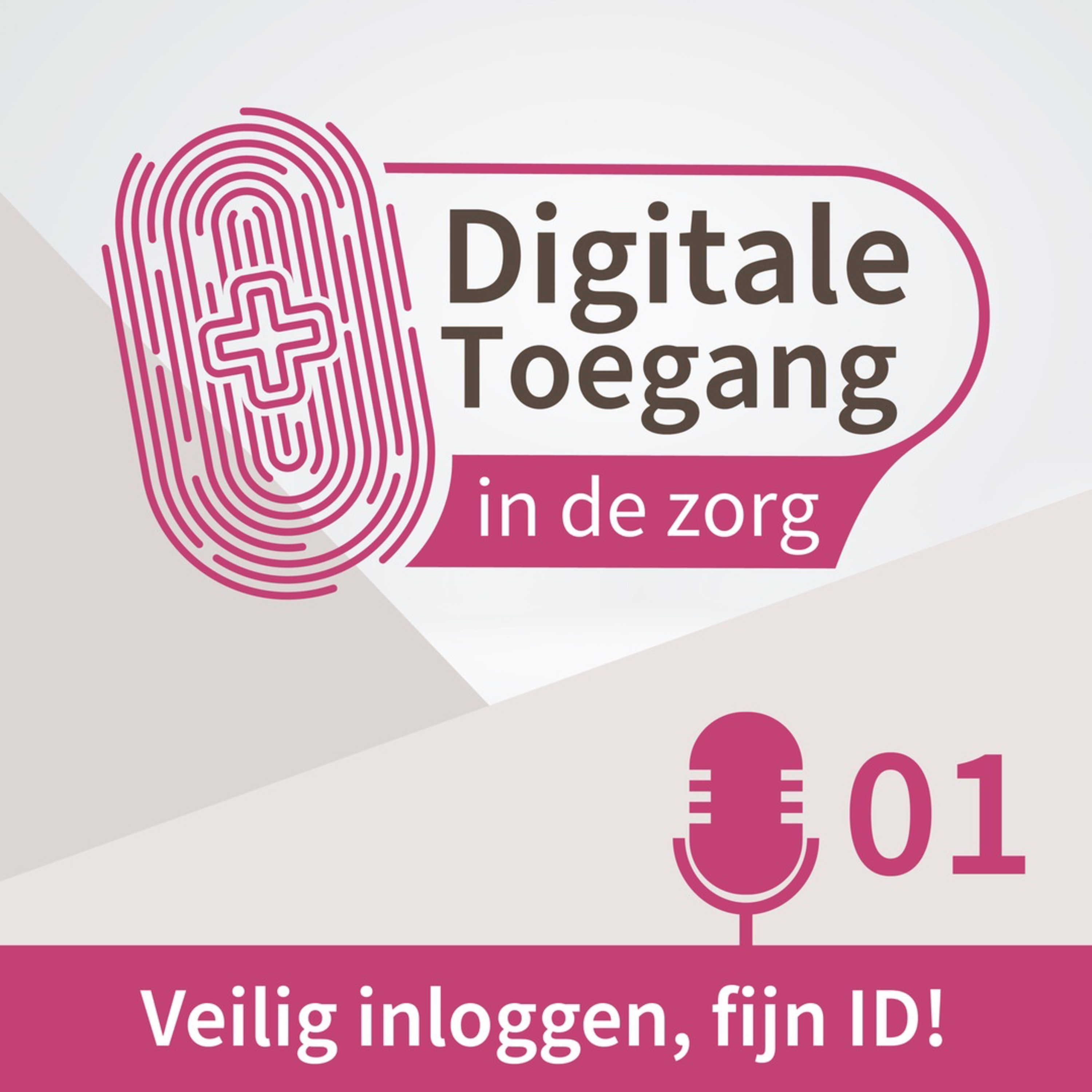 Digitale Toegang in de Zorg