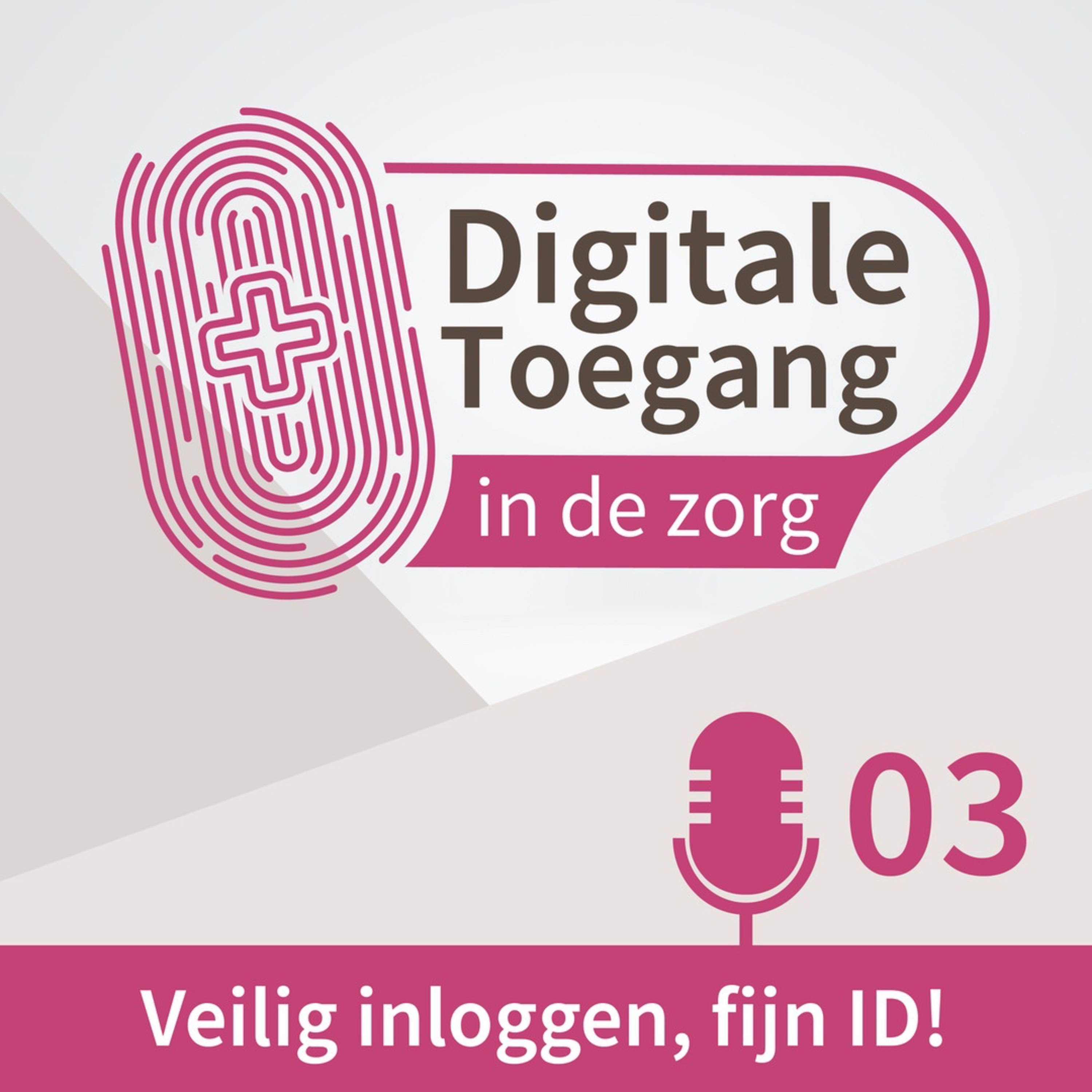Digitale Toegang in de Zorg
