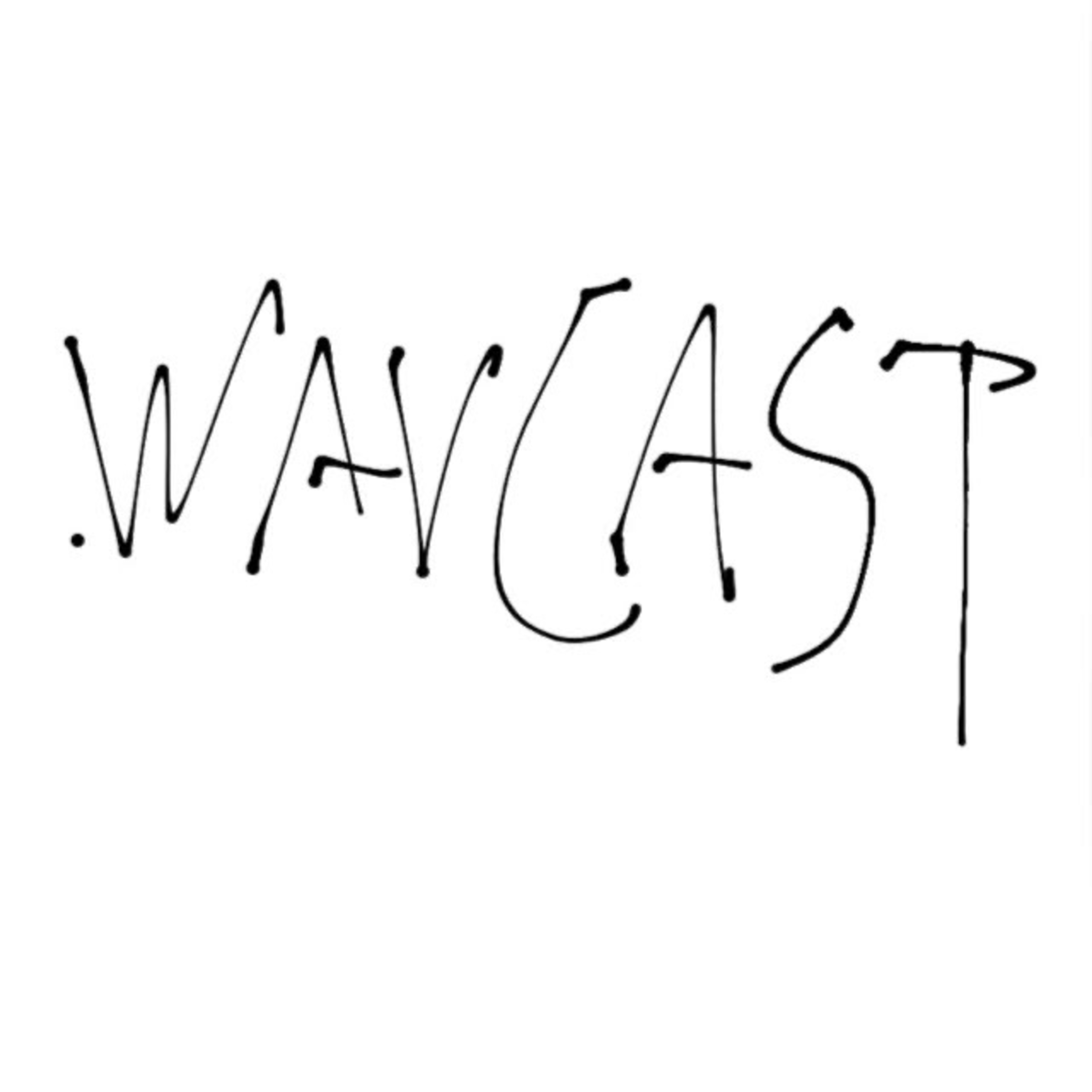 FAST FASHION IS THE BEST! episode artwork