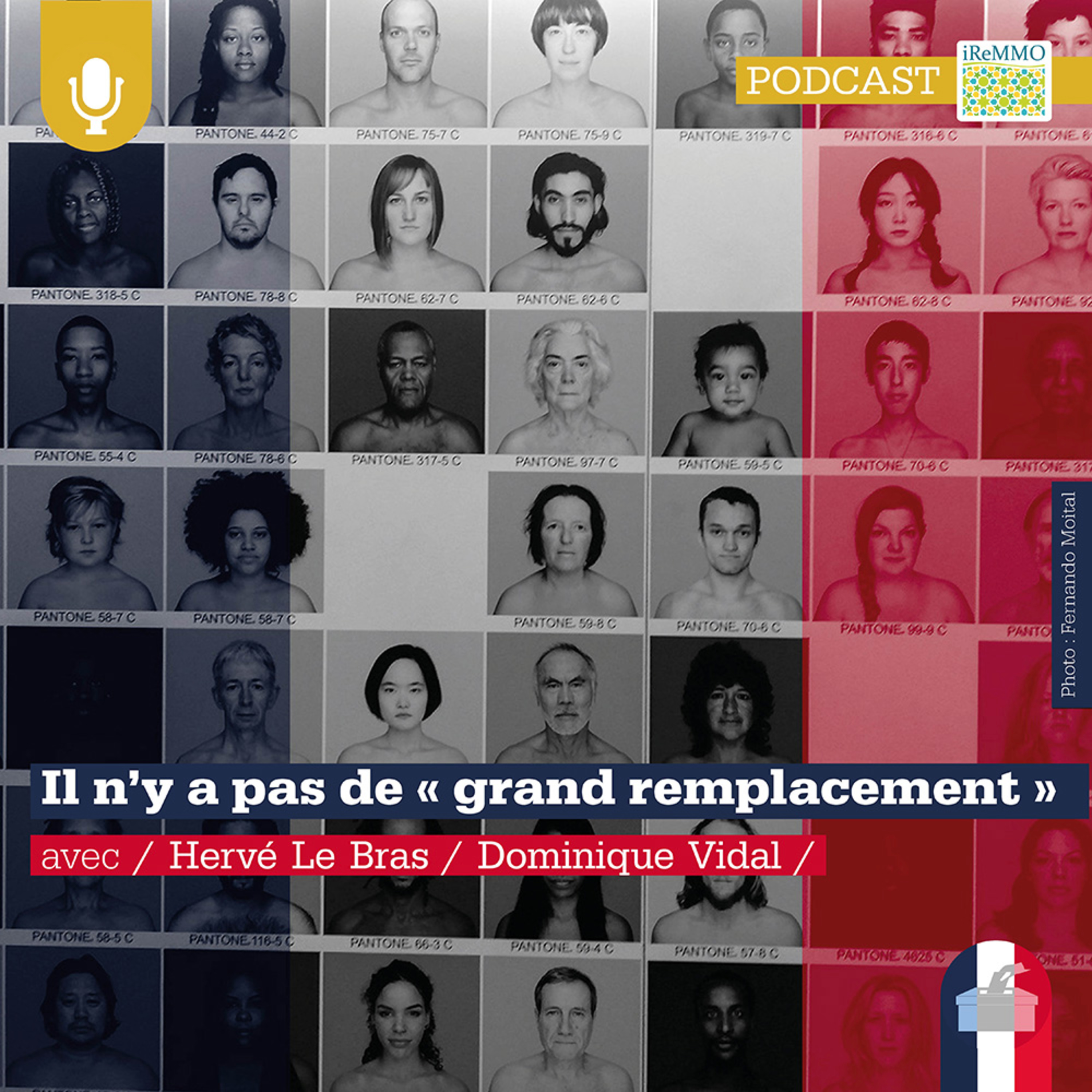 Il n’y a pas de « grand remplacement » [Spécial présidentielles] #4 episode artwork
