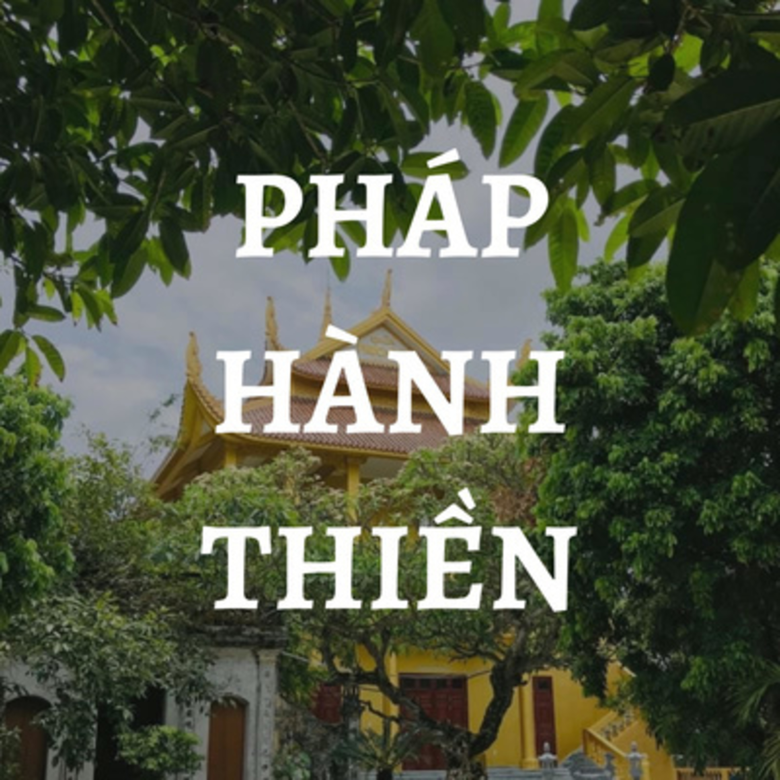 Sư Thanh Minh và các bài giảng Phật Pháp thuộc Kinh Nikaya