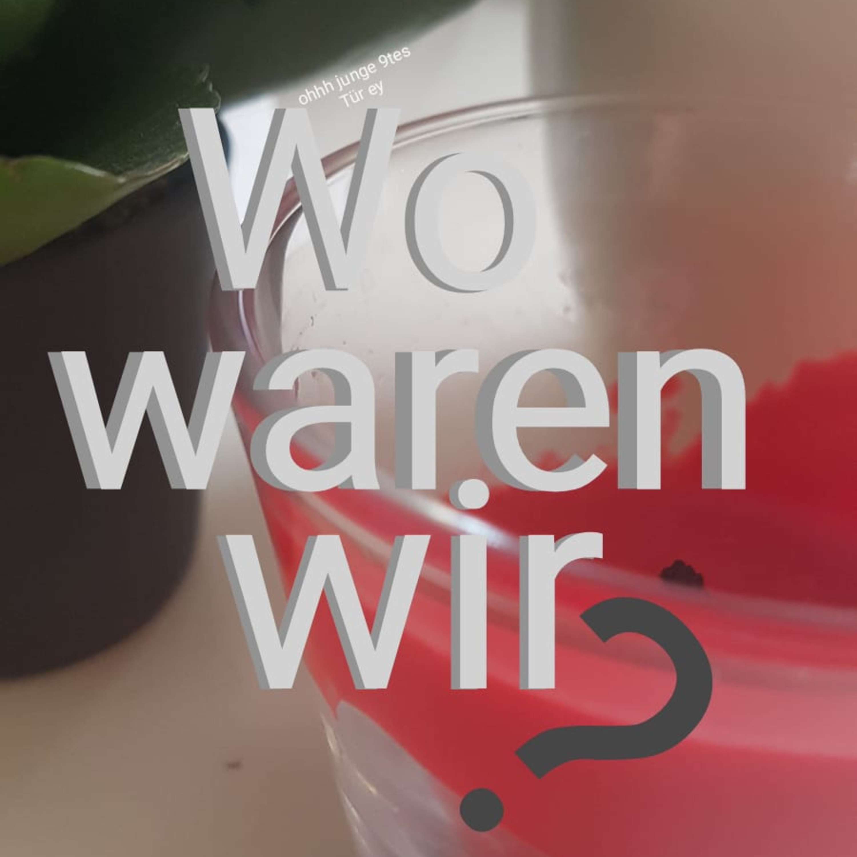 Wo Waren Wir?