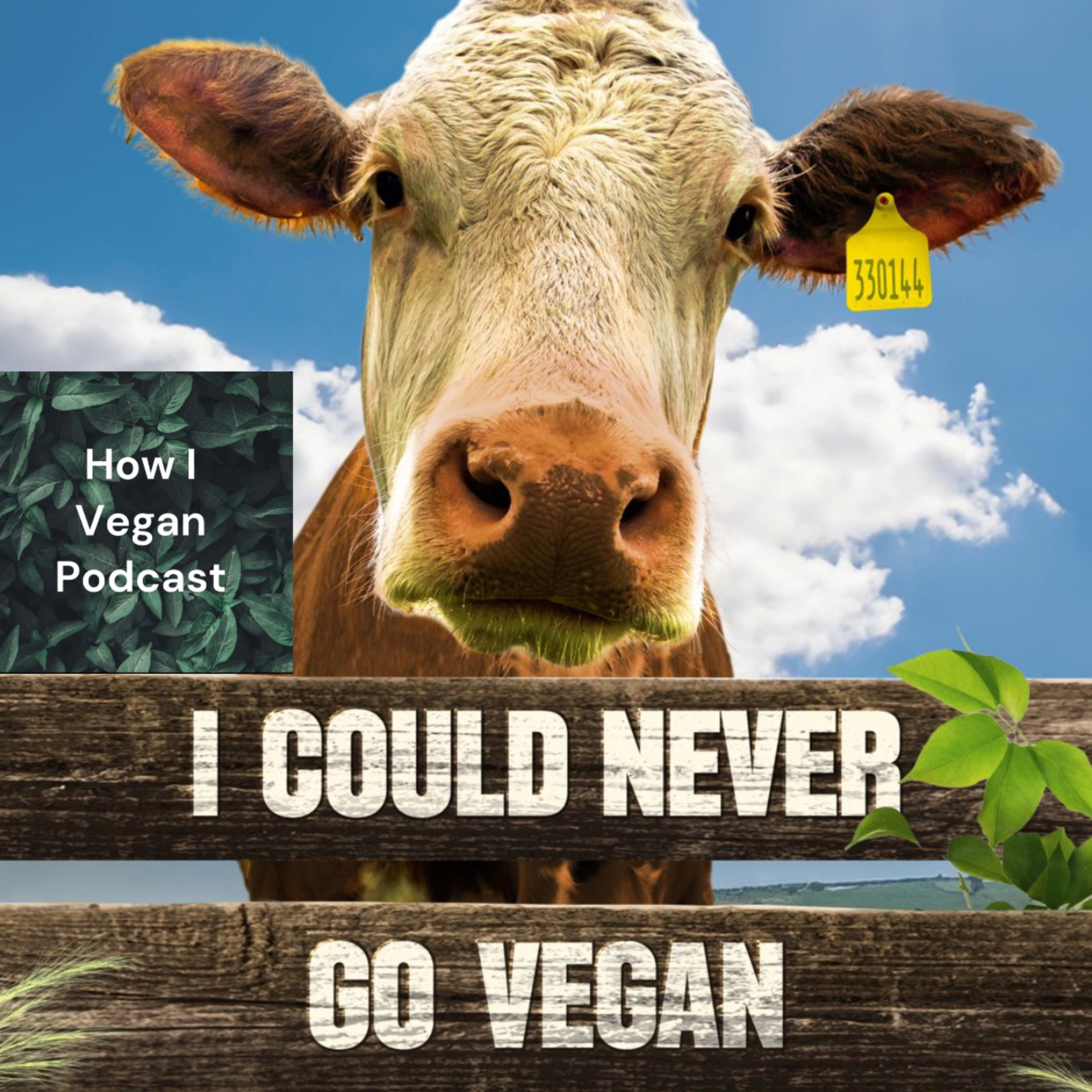 How I Vegan Podcast