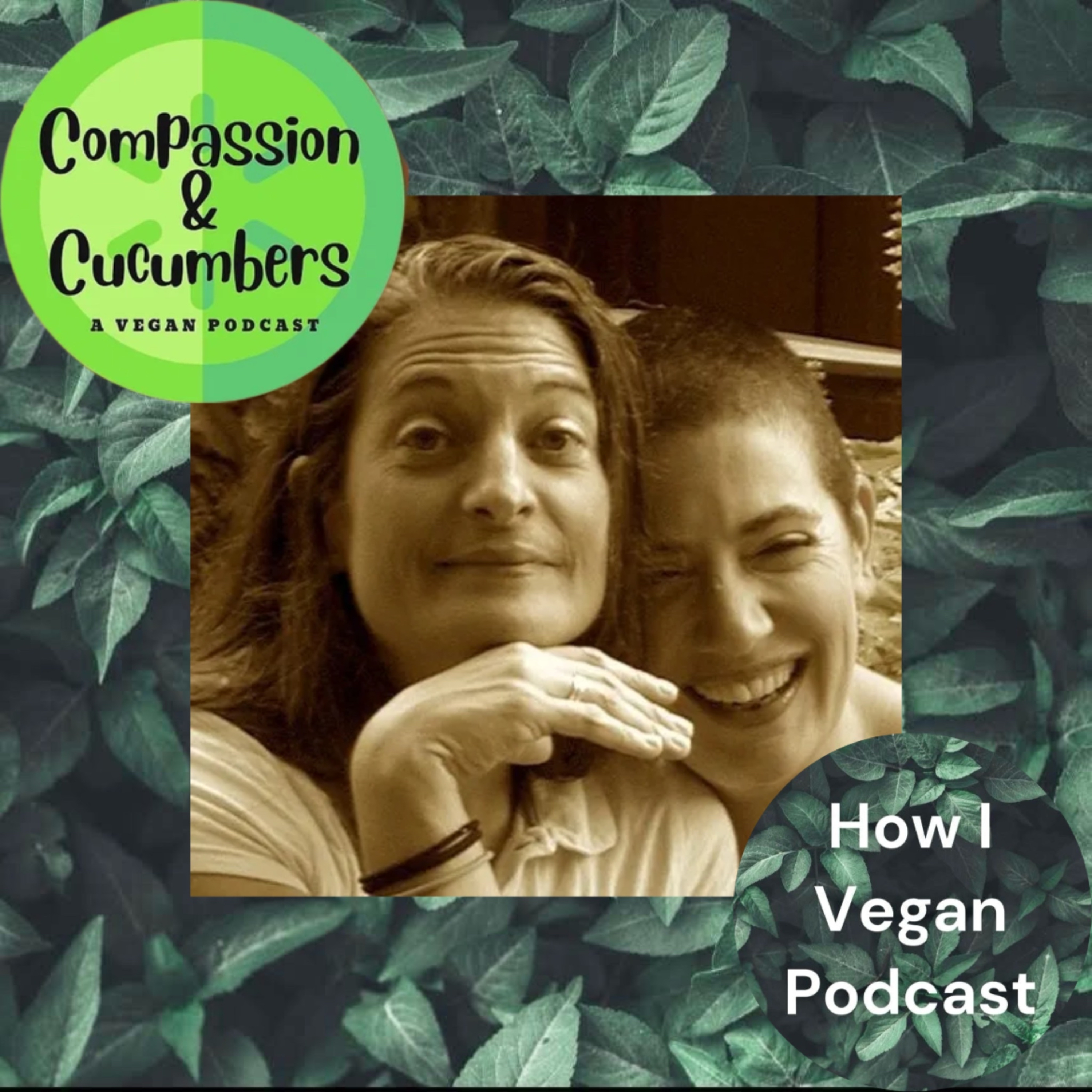 How I Vegan Podcast