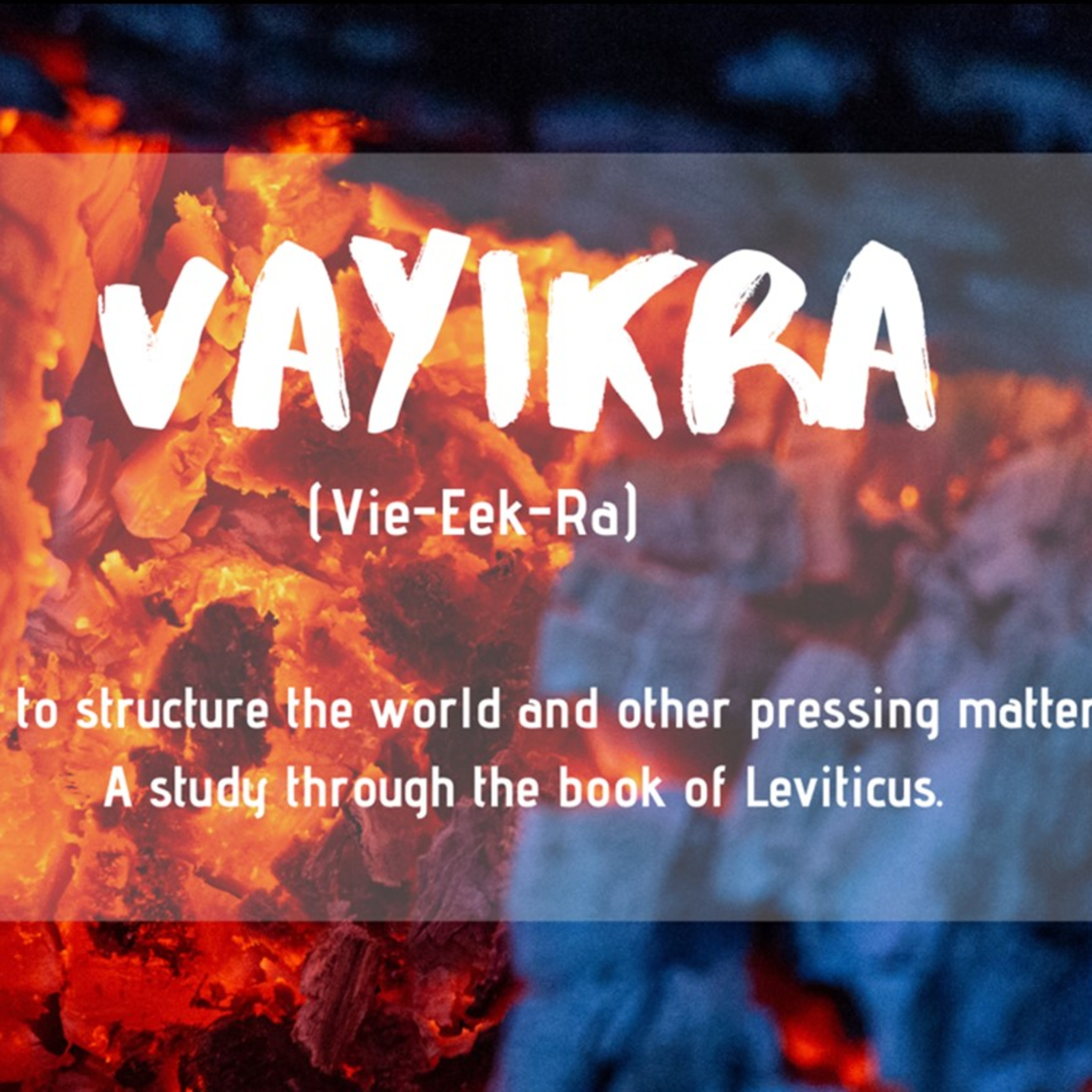 Vayikra, Week 4, 5/19/2019 episode artwork