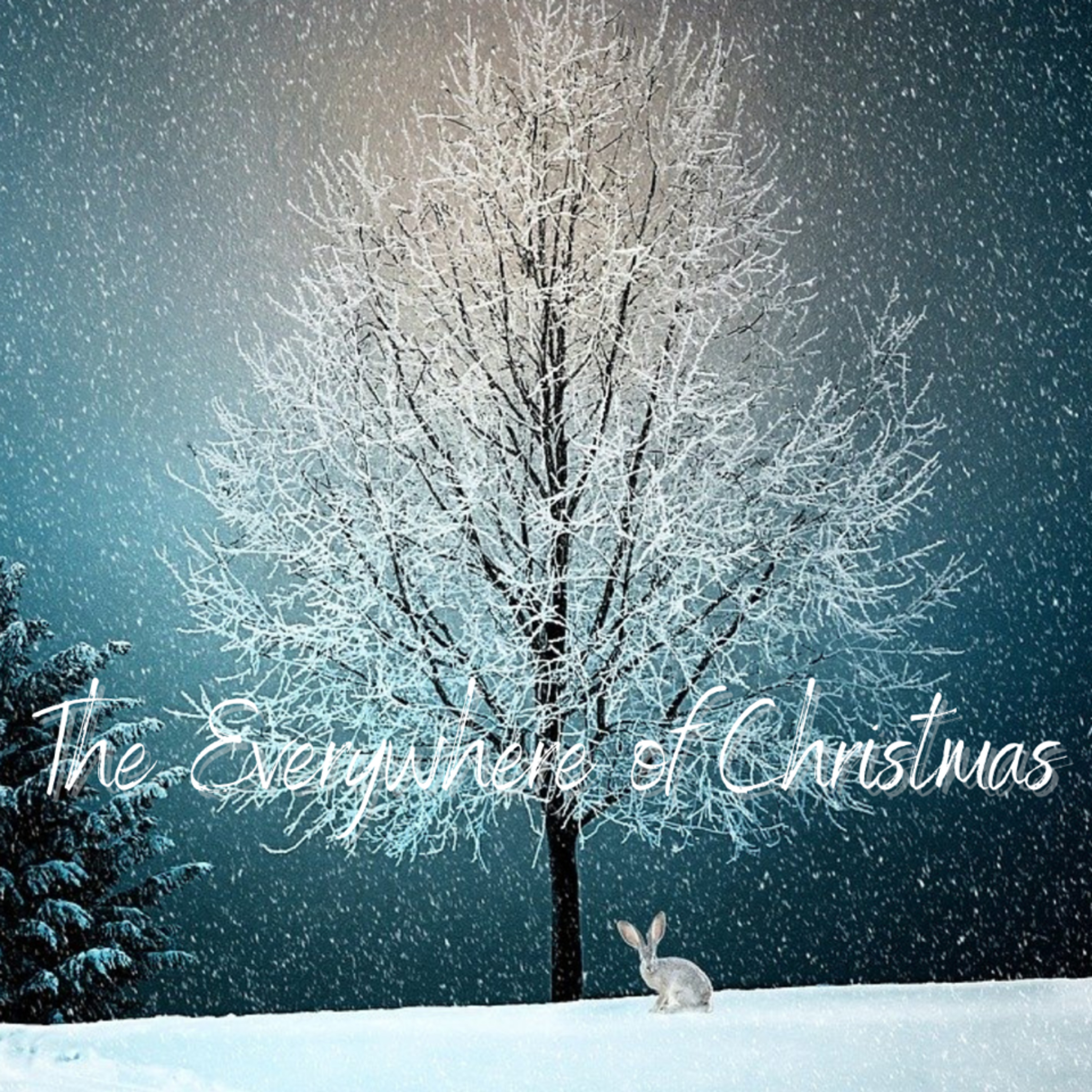 The Everywhere of Christmas Week 3 - Boxing, Saint Stephen's Feast, and the King of all Birds