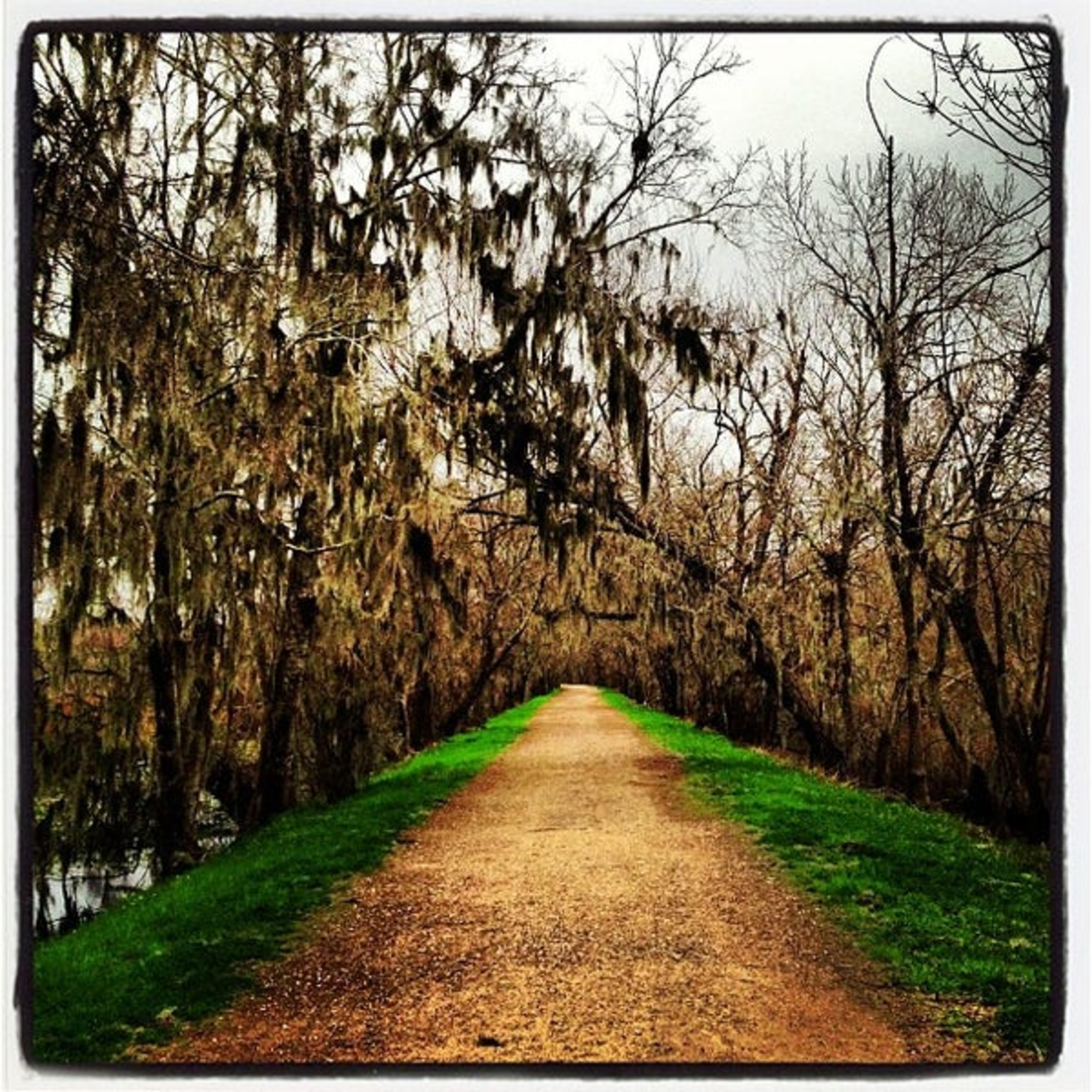 Paz n Hundo: the road to Brazos Bend and Snowdrop