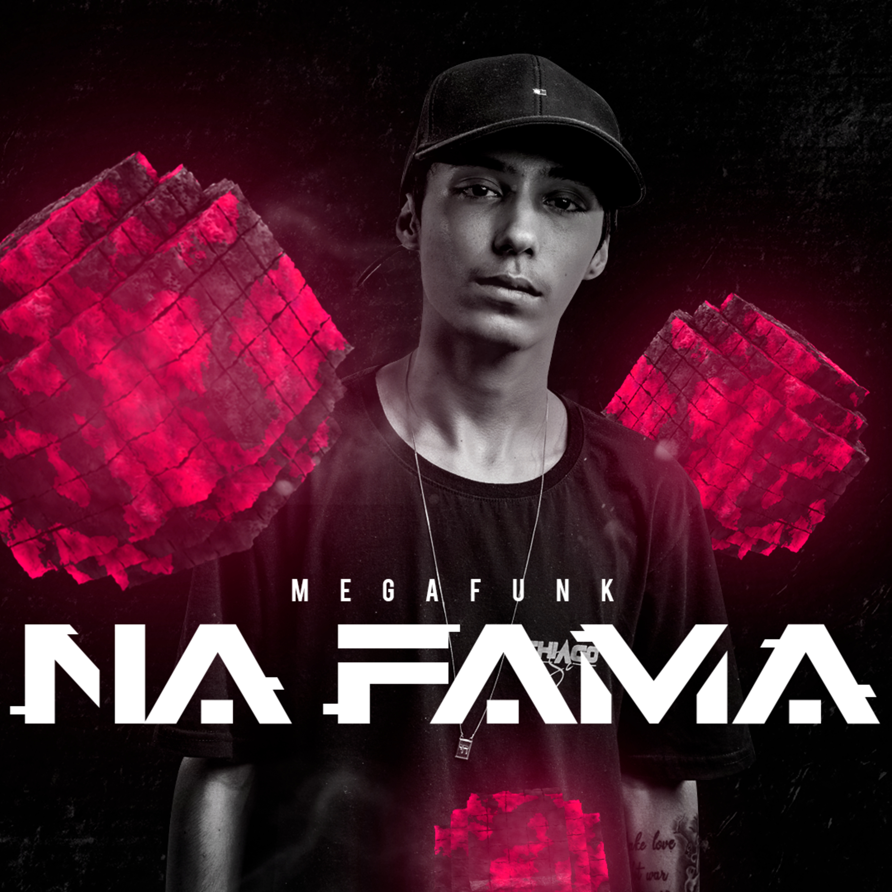 MEGA NA FAMA (DJ THIAGO SC)