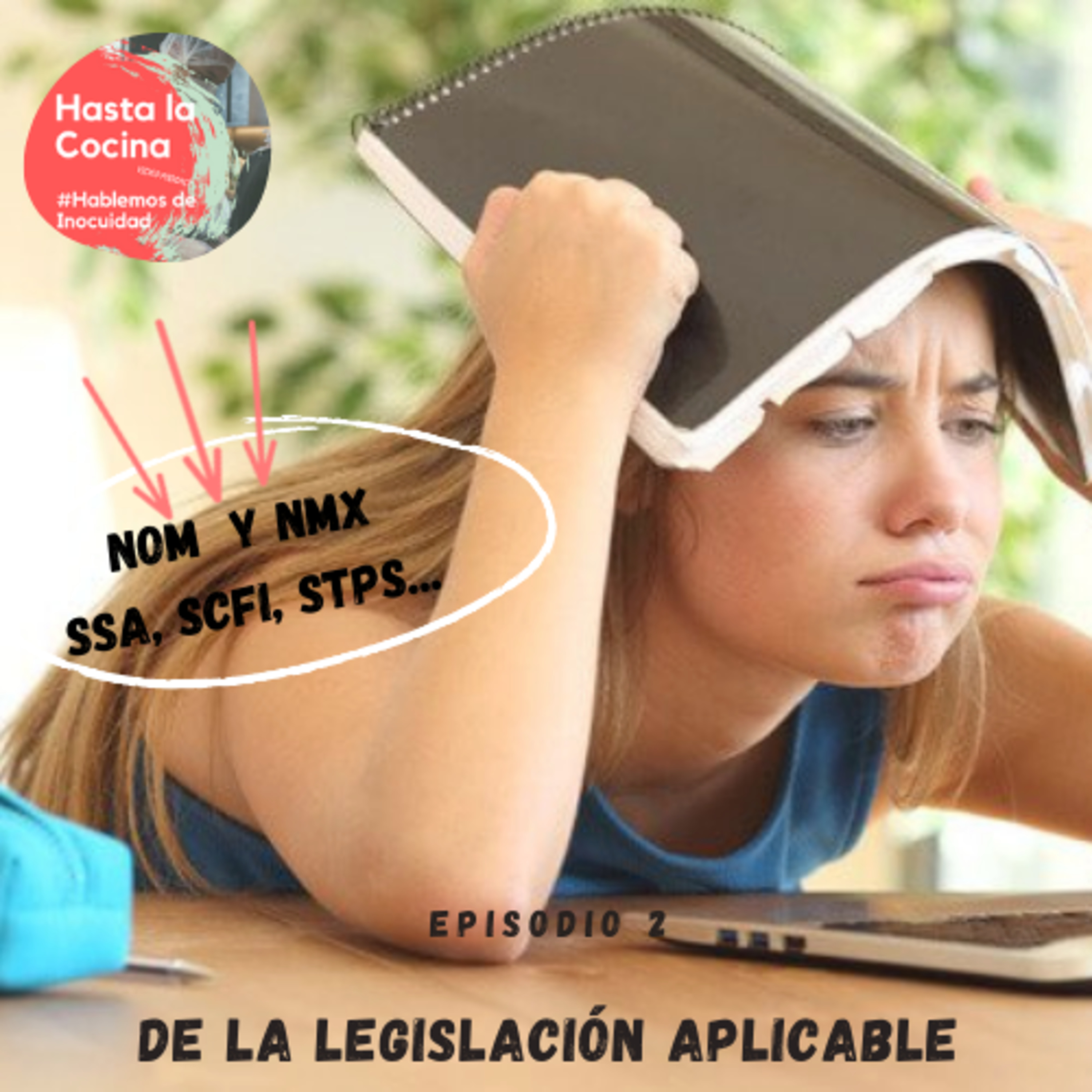 Hasta la cocina, Hablemos de Inocuidad
