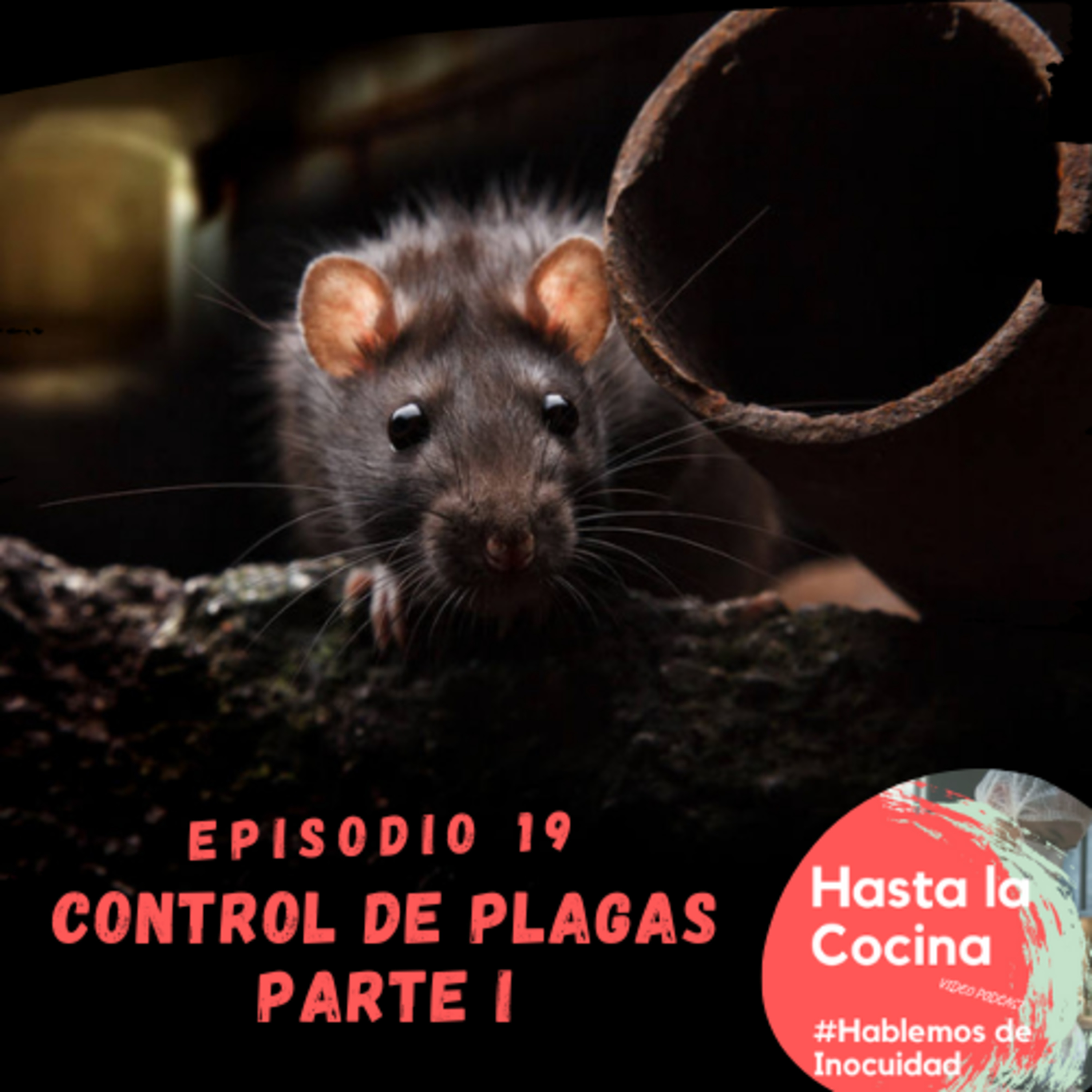 Hasta la cocina, Hablemos de Inocuidad