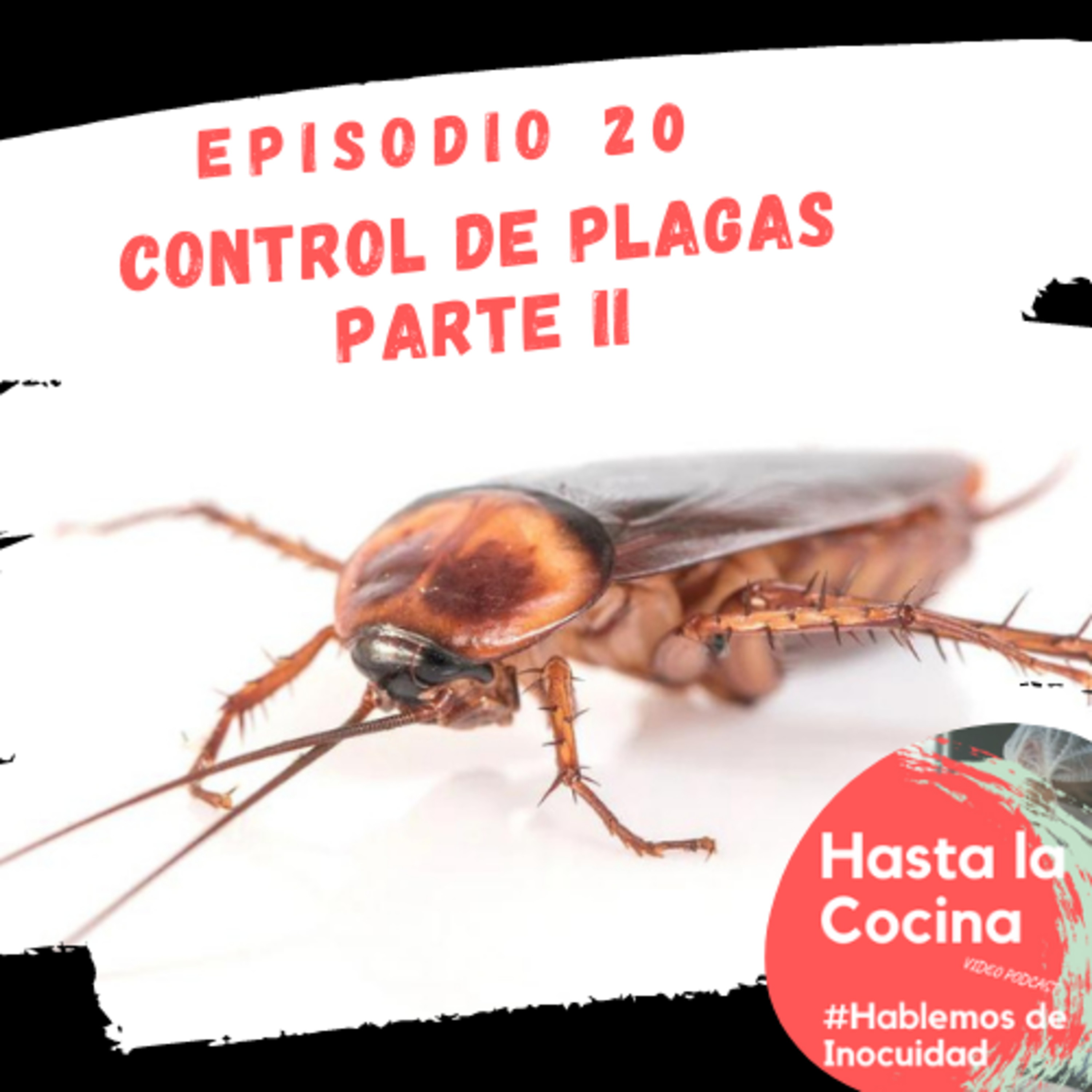 Hasta la cocina, Hablemos de Inocuidad