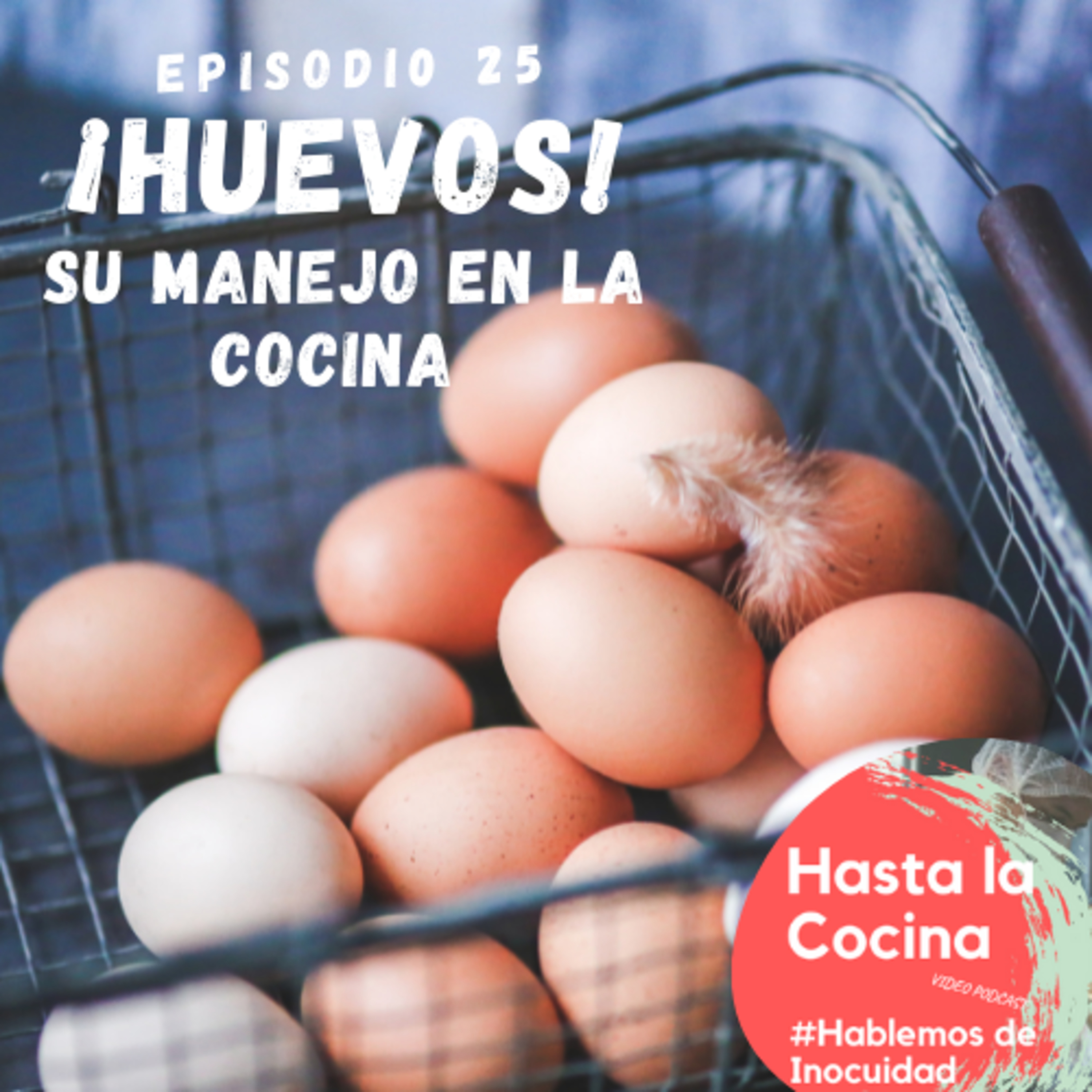Hasta la cocina, Hablemos de Inocuidad
