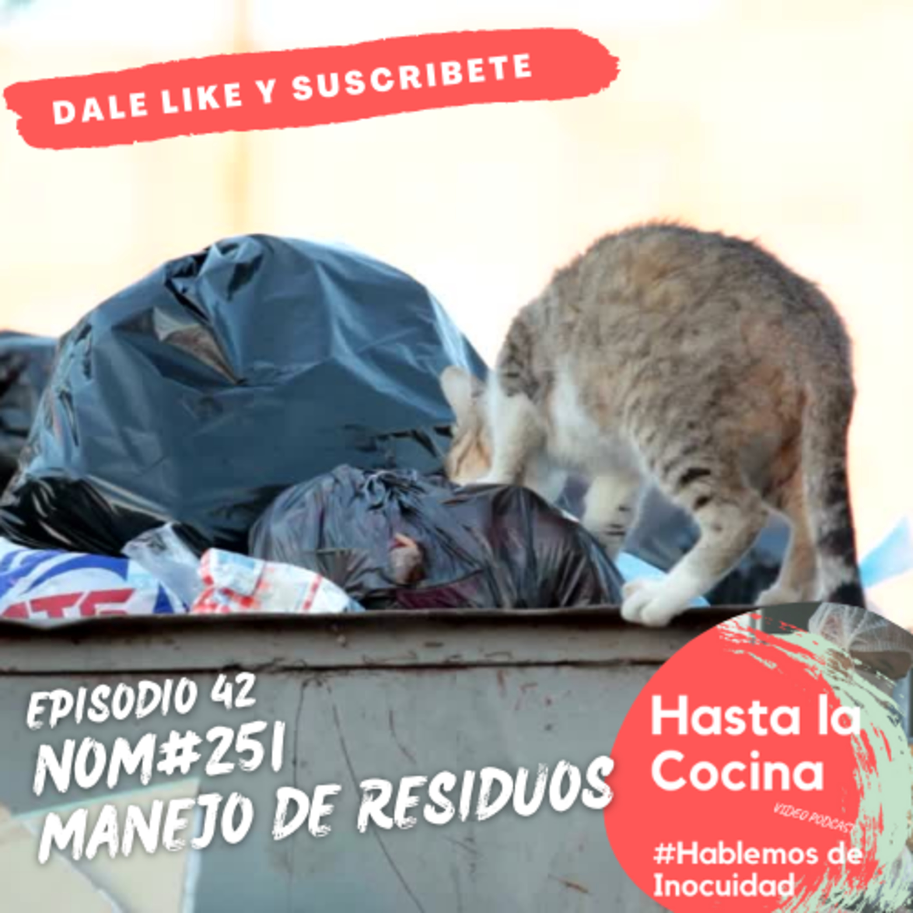 Hasta la cocina, Hablemos de Inocuidad