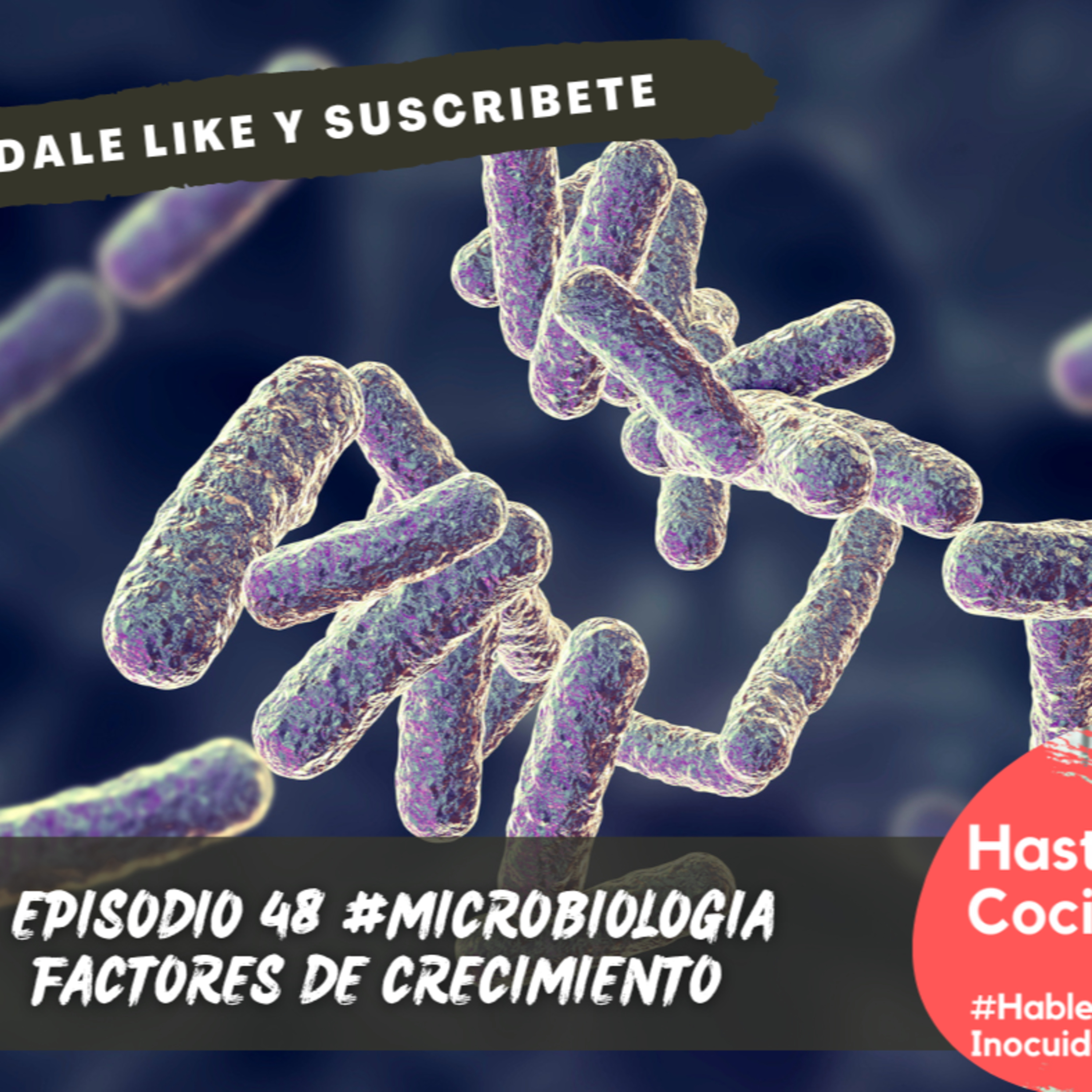 Hasta la cocina, Hablemos de Inocuidad