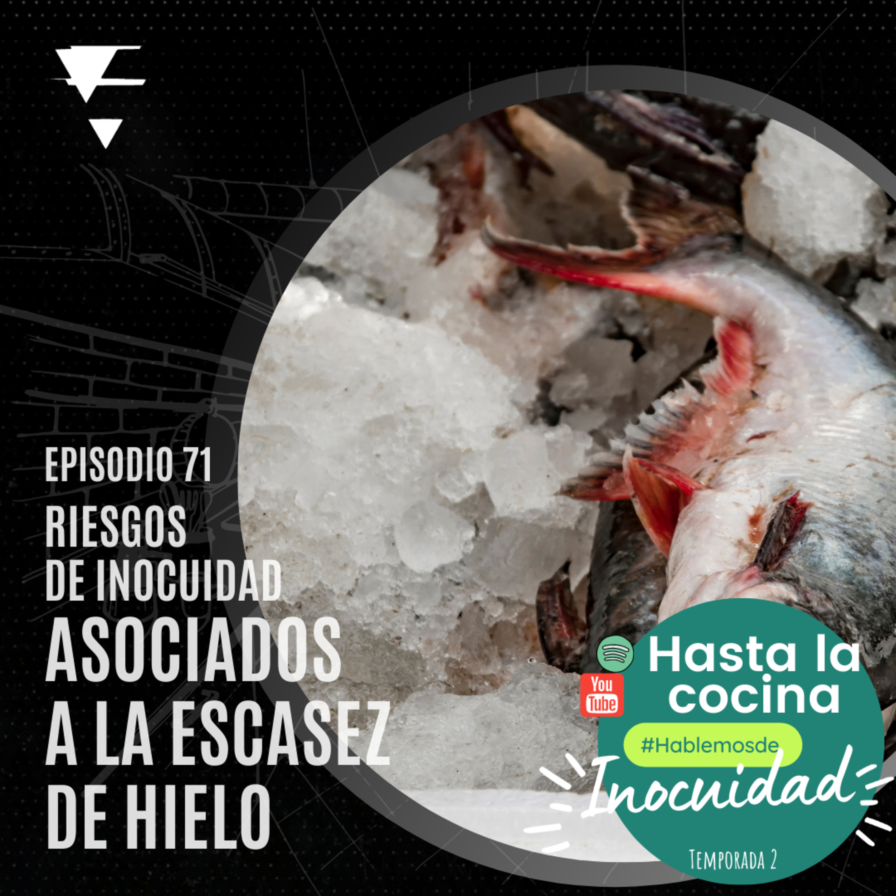 Hasta la cocina, Hablemos de Inocuidad