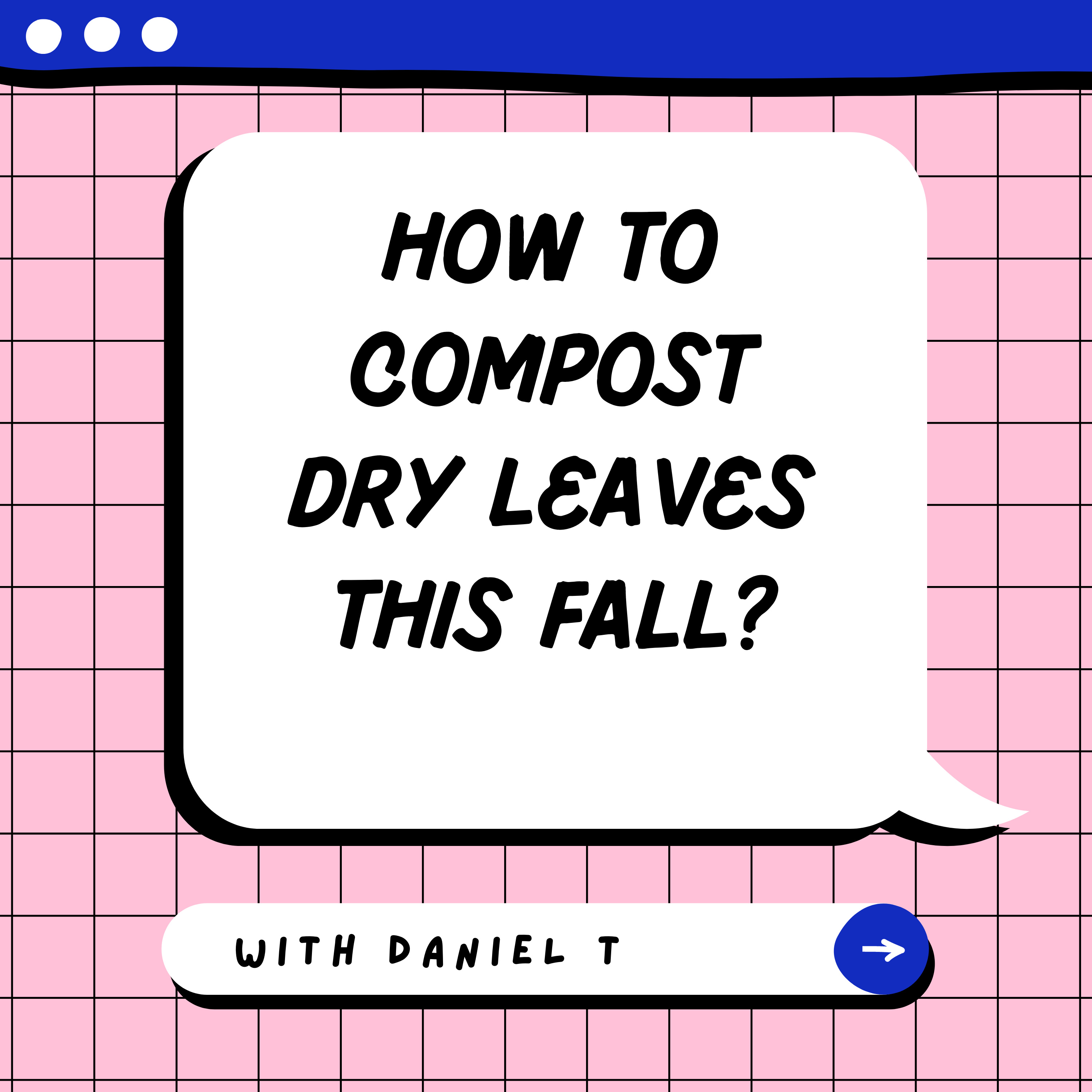  How to Compost Dry Leaves this Fall episode artwork