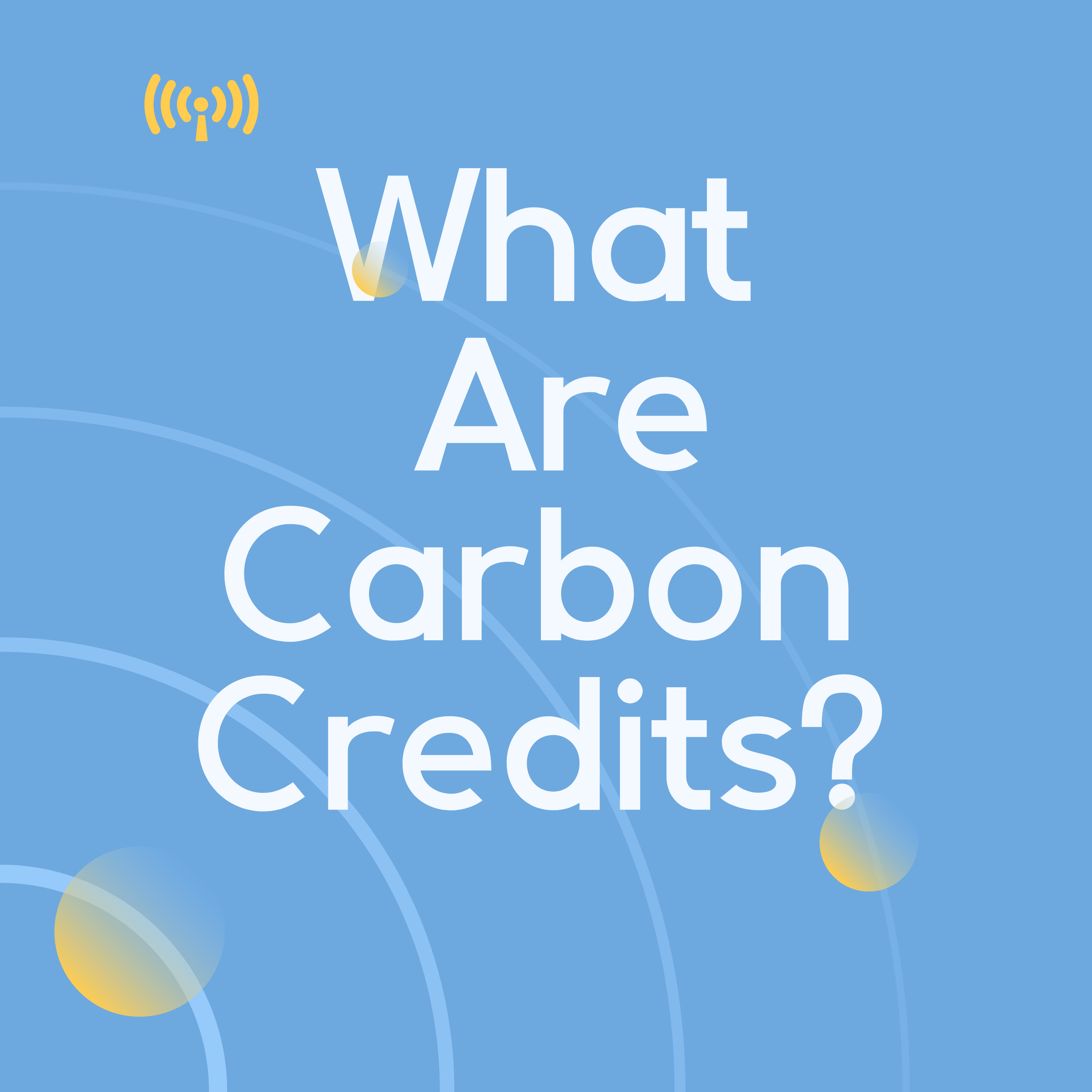 12 What are Carbon Credits? episode artwork