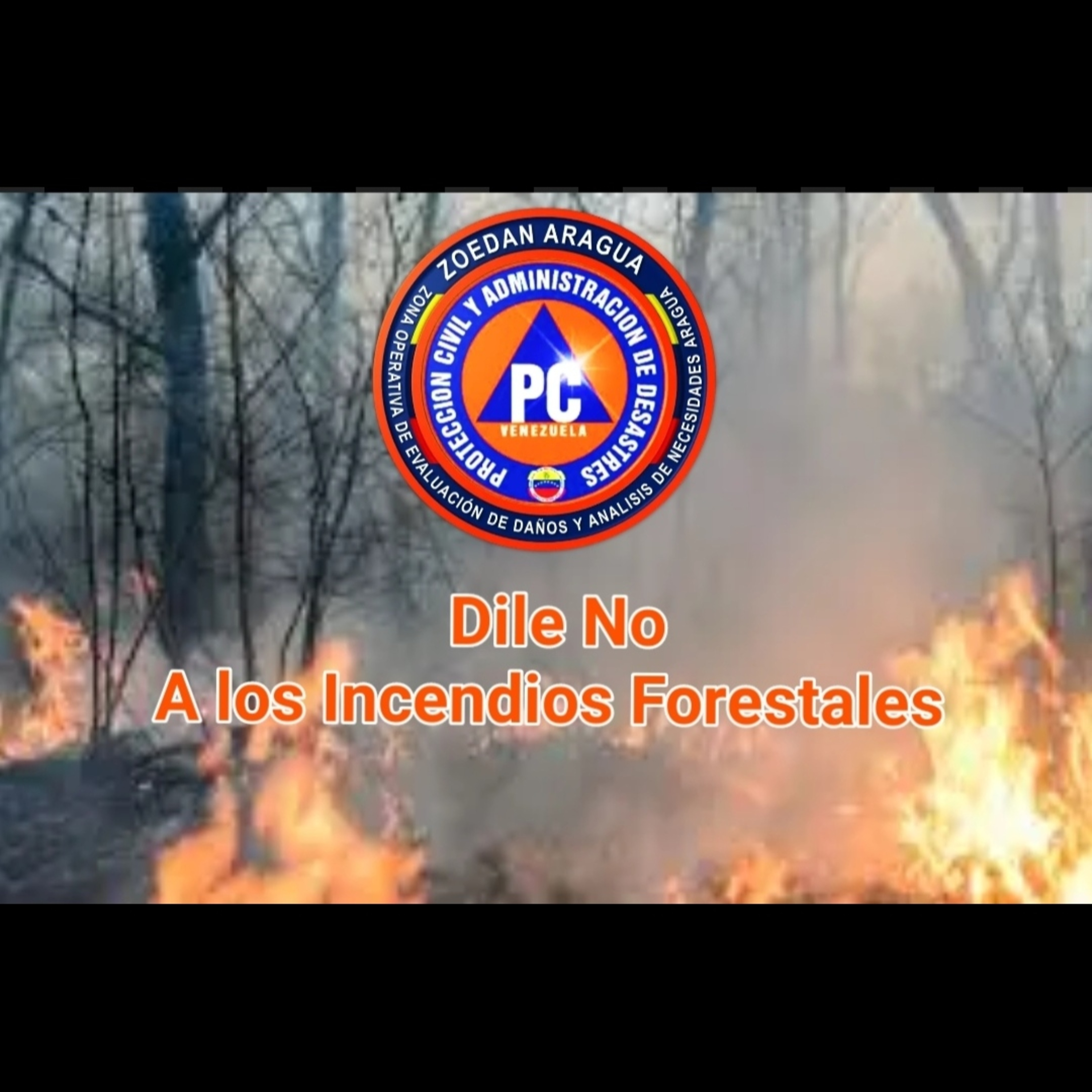 Protección Civil y Administración de Desastres Aragua