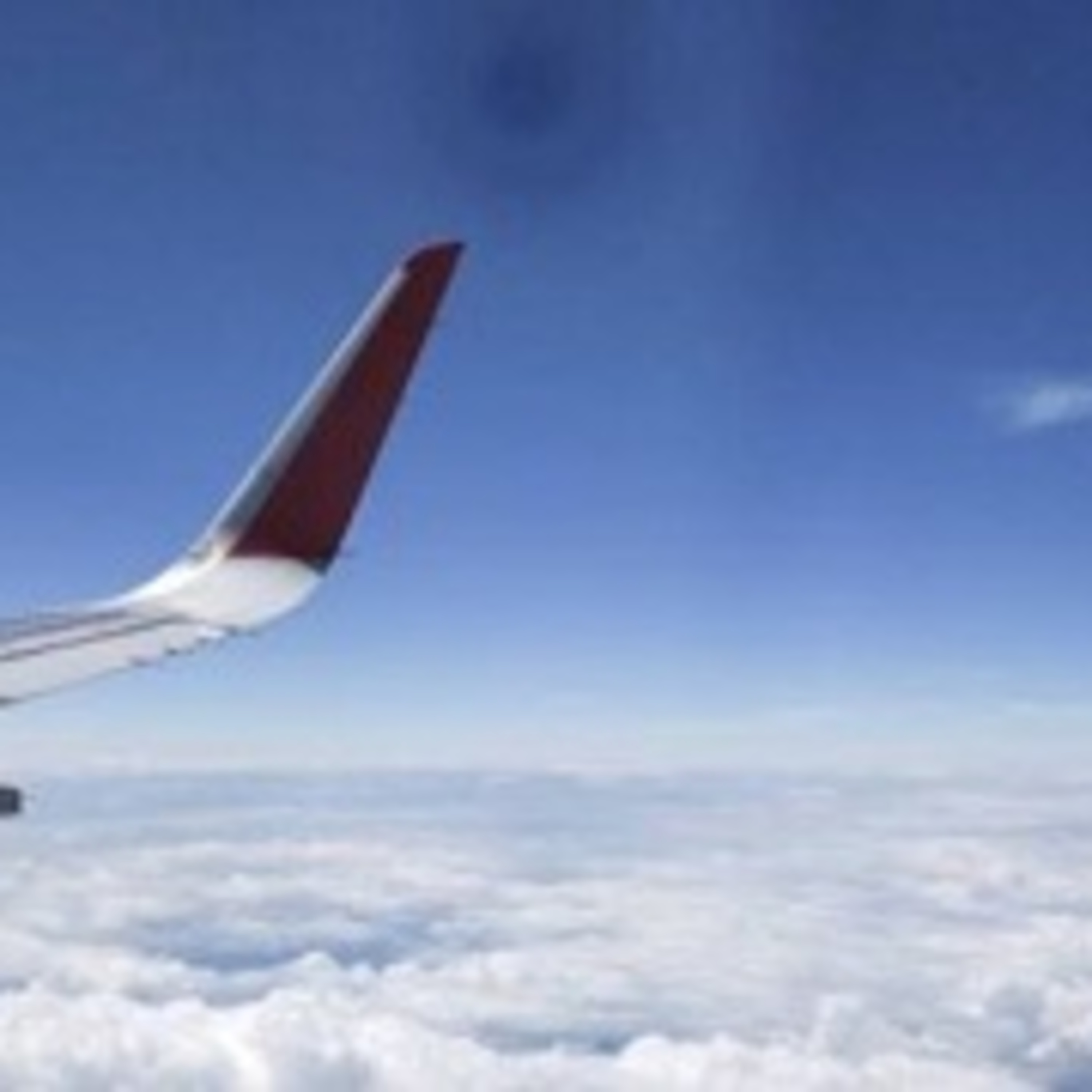 各国航空会社が 「どこにも行かない」フライト打ち出す episode artwork