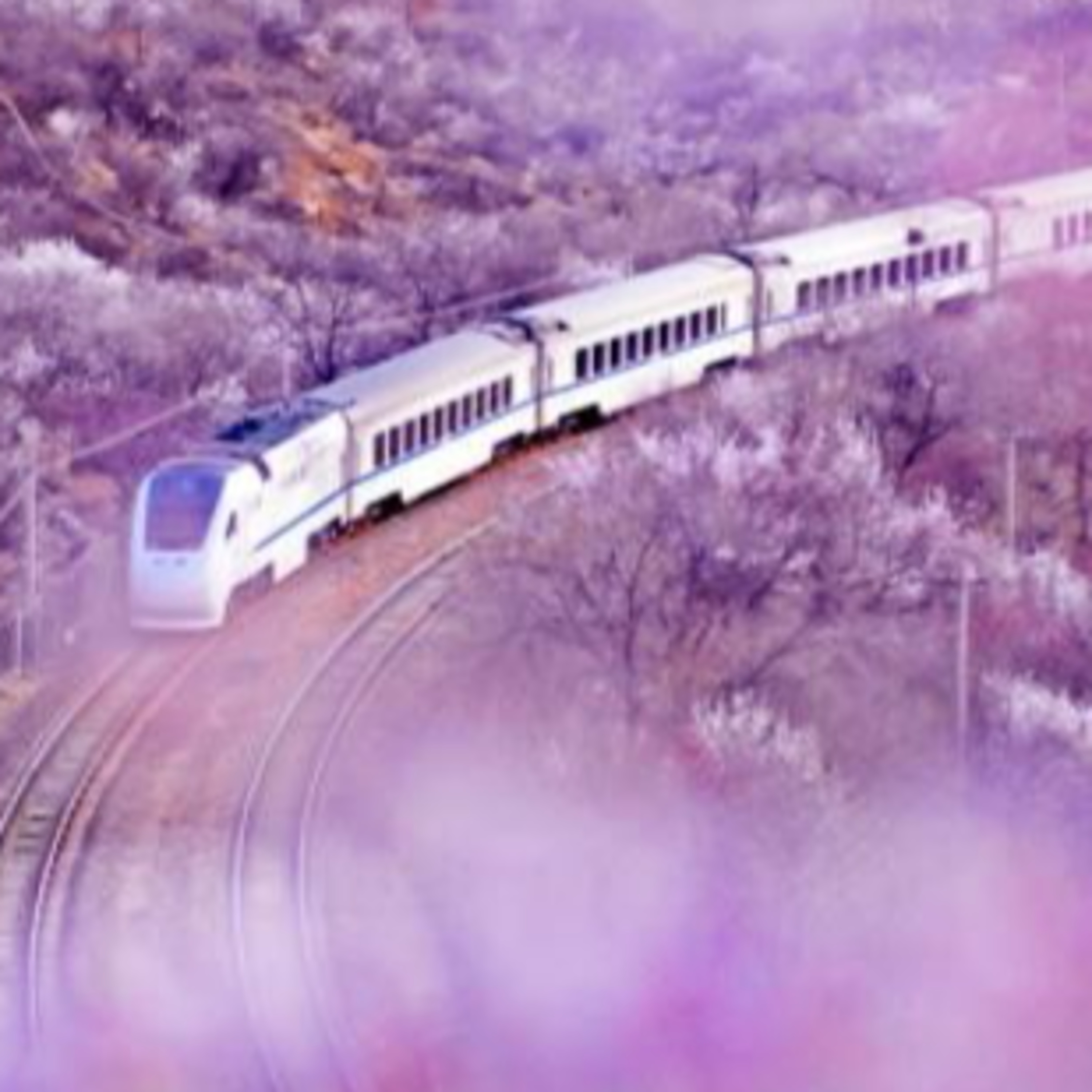 美しい景色が人気、「春に向かう列車」S2線が1日7往復運行へ―北京市 episode artwork