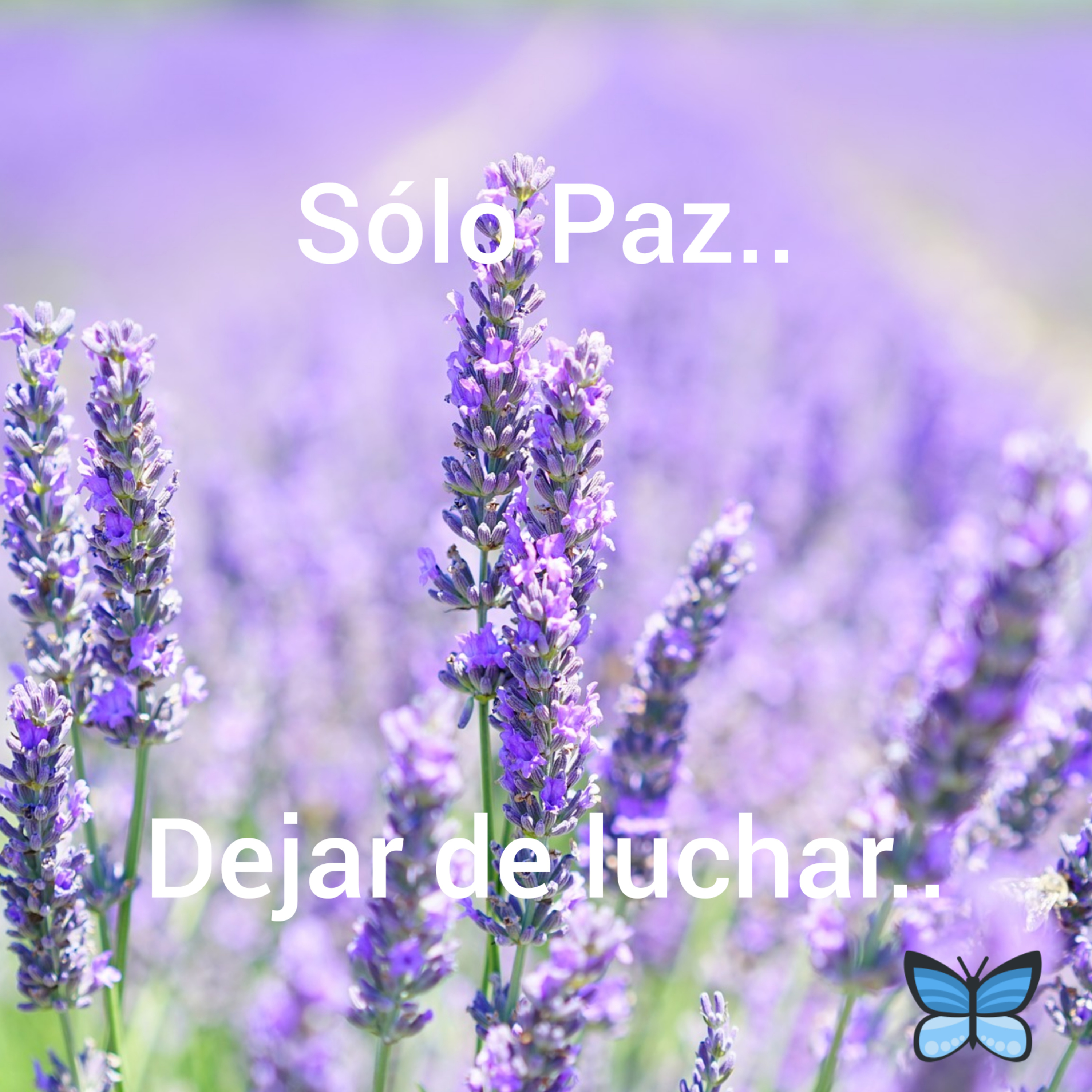 Meditación Celeste Relax