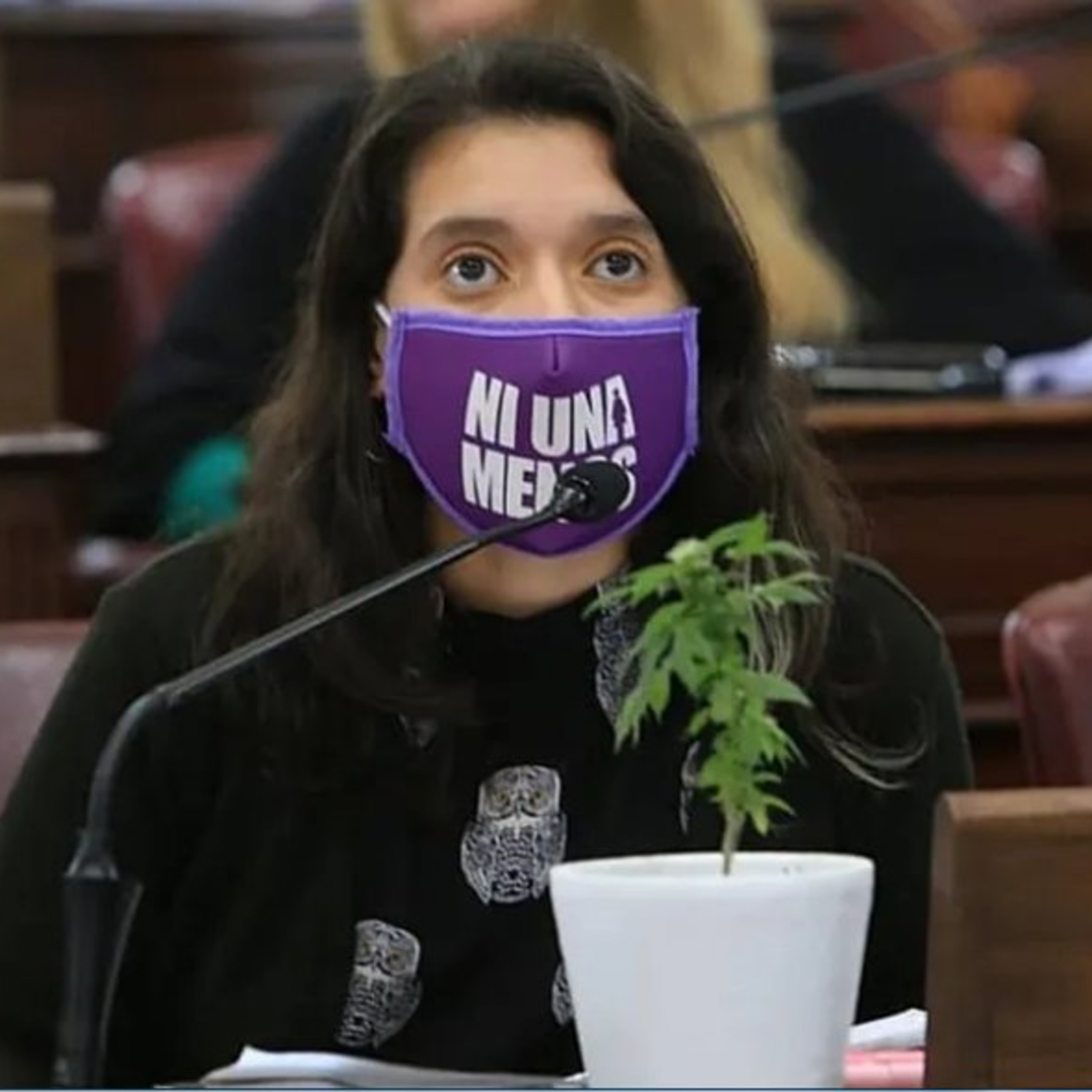 Autocultivo de cannabis con fines terapéuticos- Entrevista a Agustina Donnet episode artwork