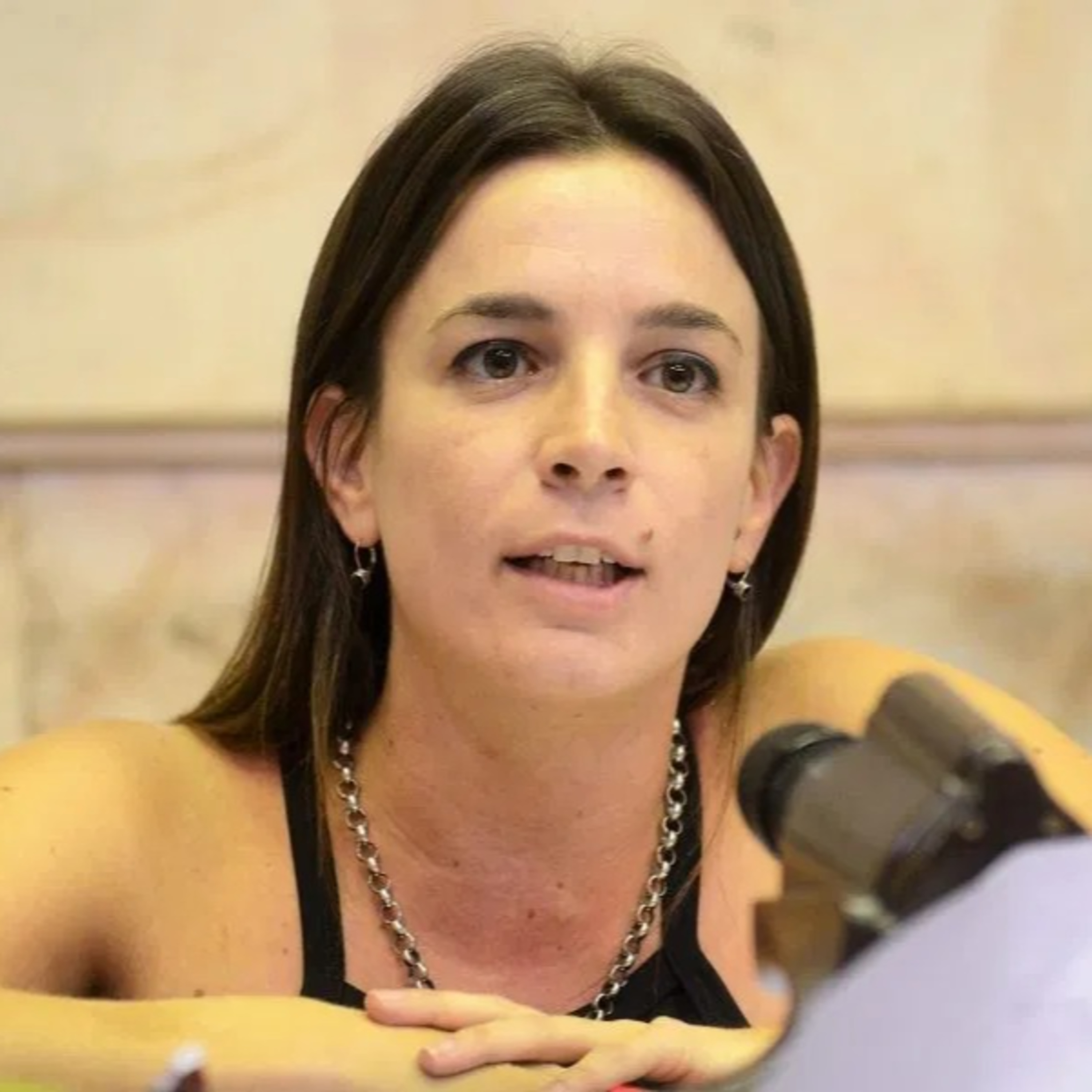 "La asistencia alimentaria estuvo a la altura de la demanda" - Entrevista a Lucila De Ponti episode artwork