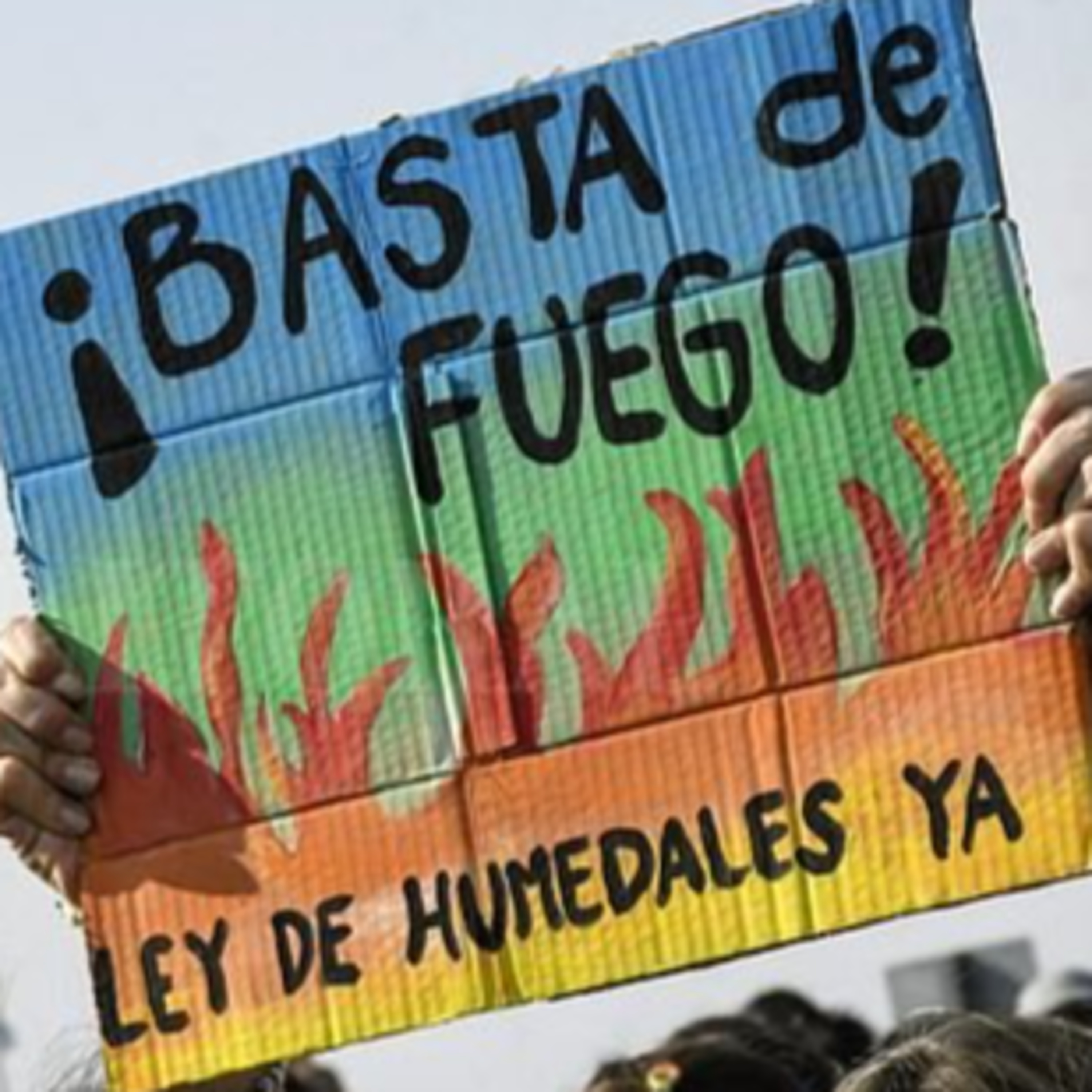 ¿Avance? sobre la Ley de Humedales: dictamen en la Comisión de Recursos Naturales episode artwork