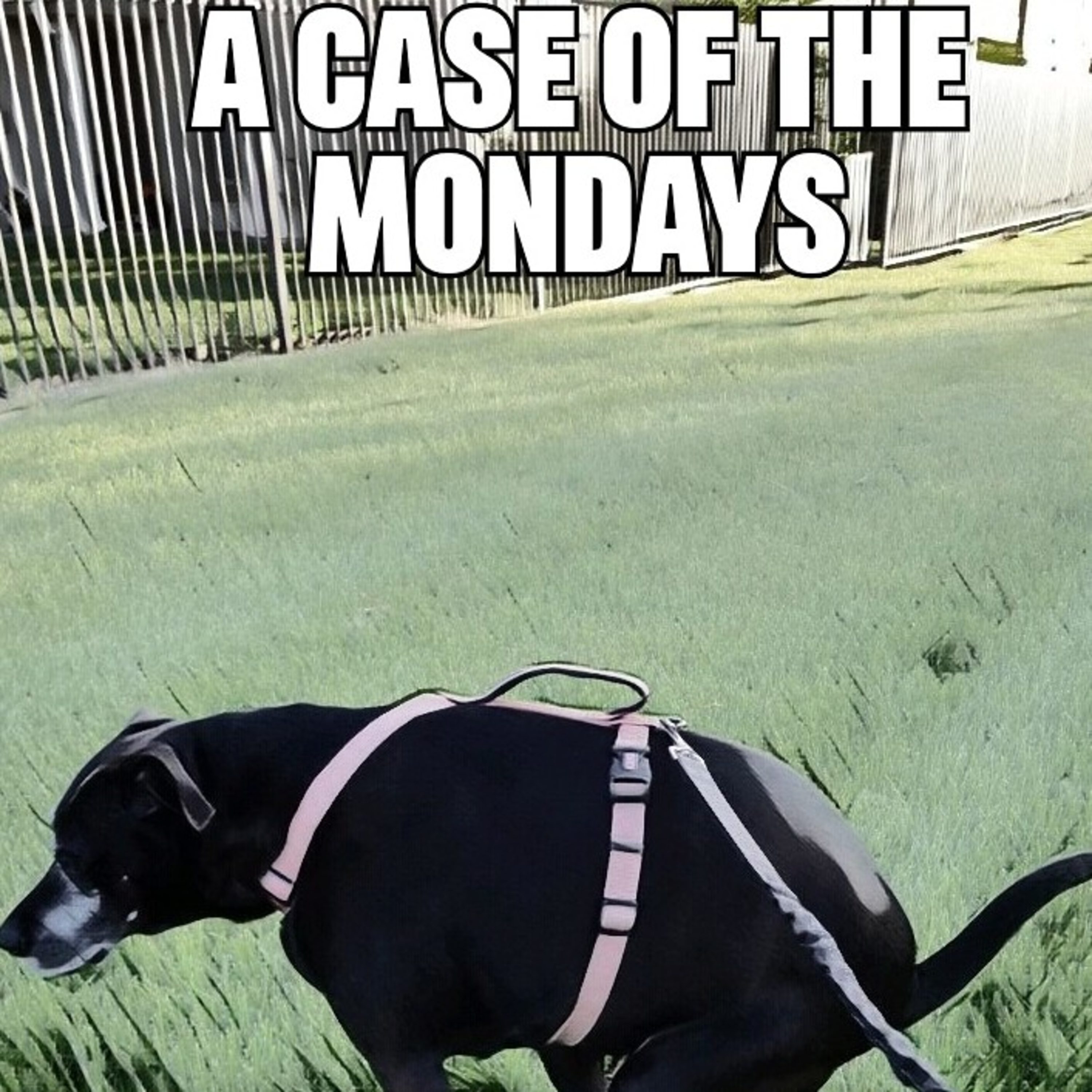 A Case of the Mondays Episode 4