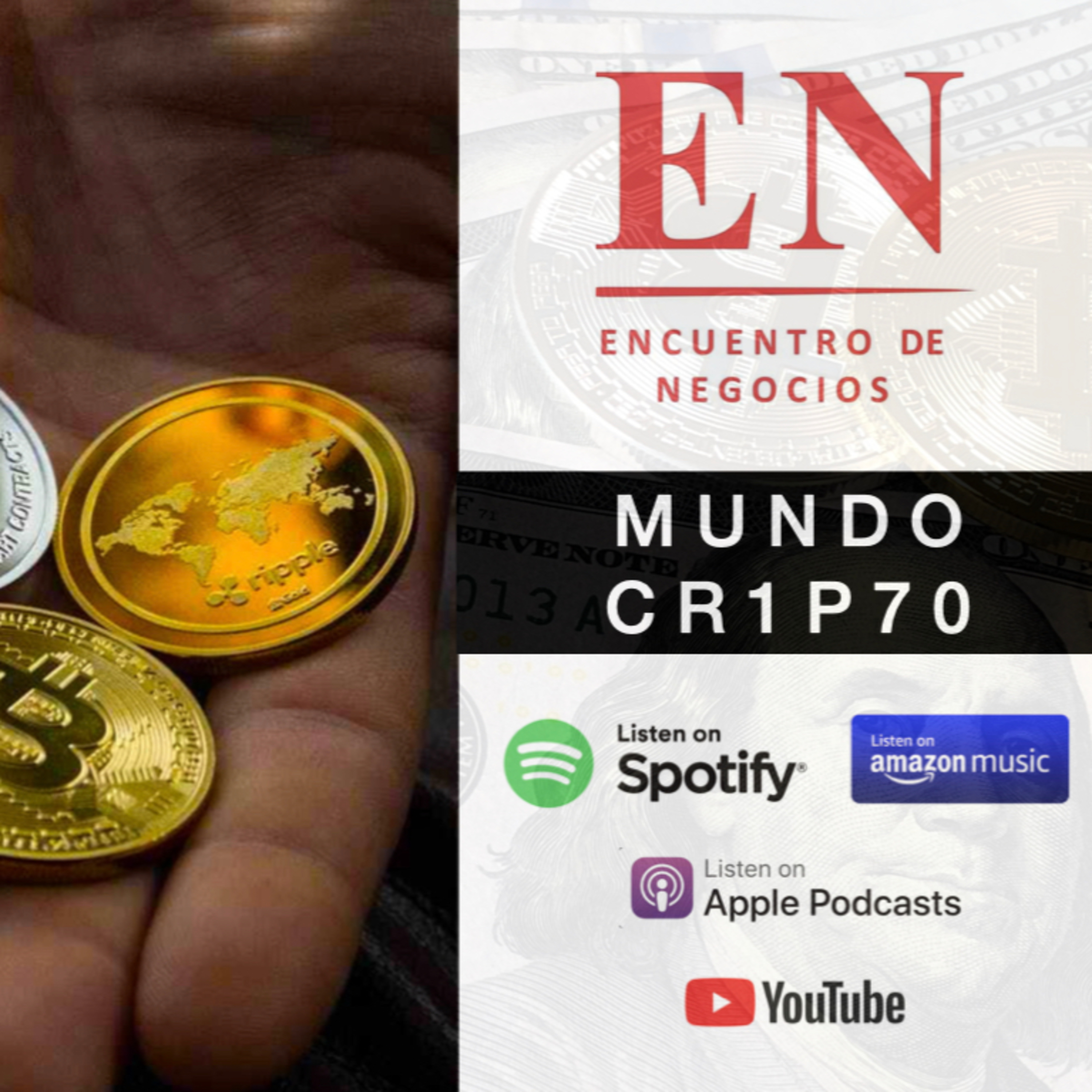 Encuentro de Negocios