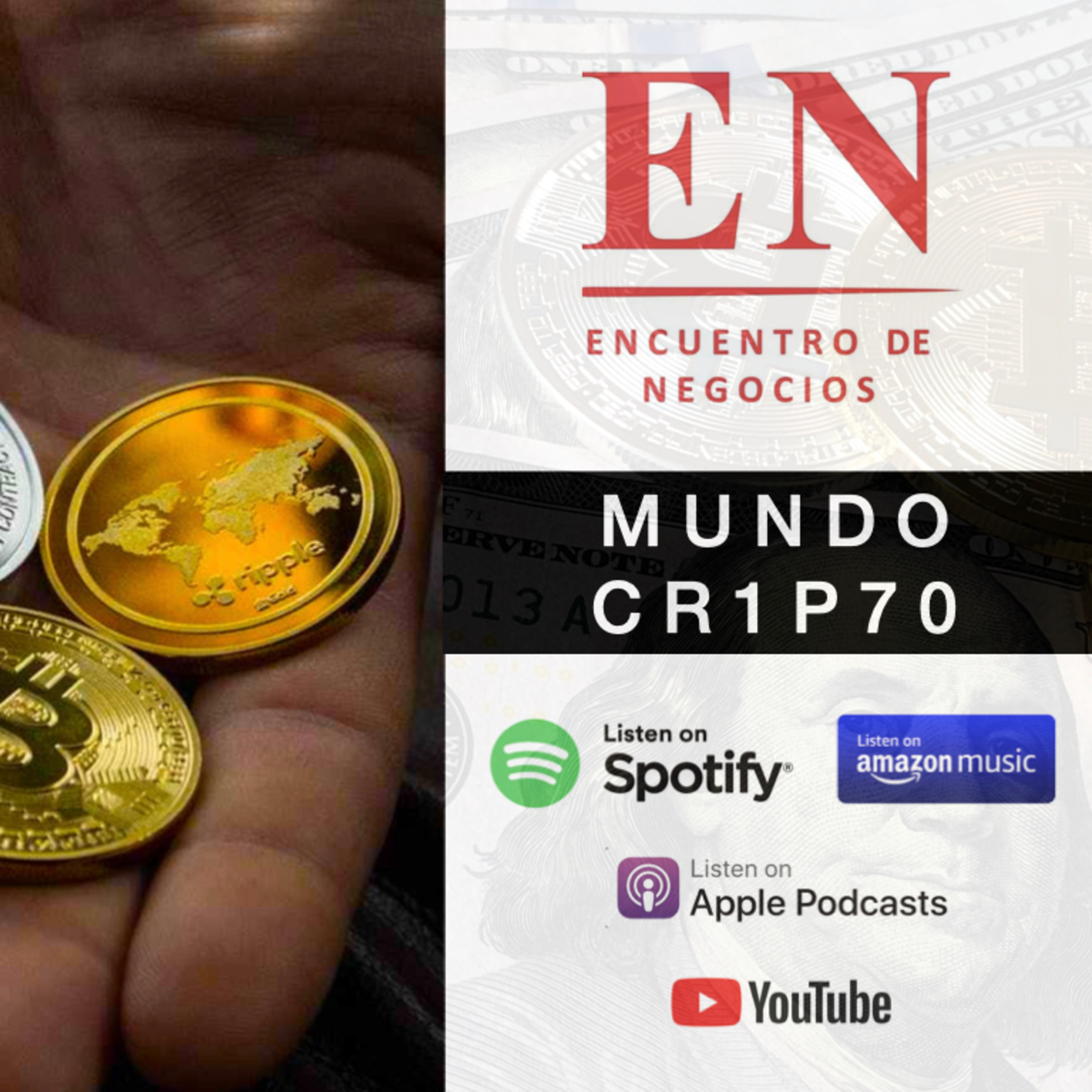 Encuentro de Negocios