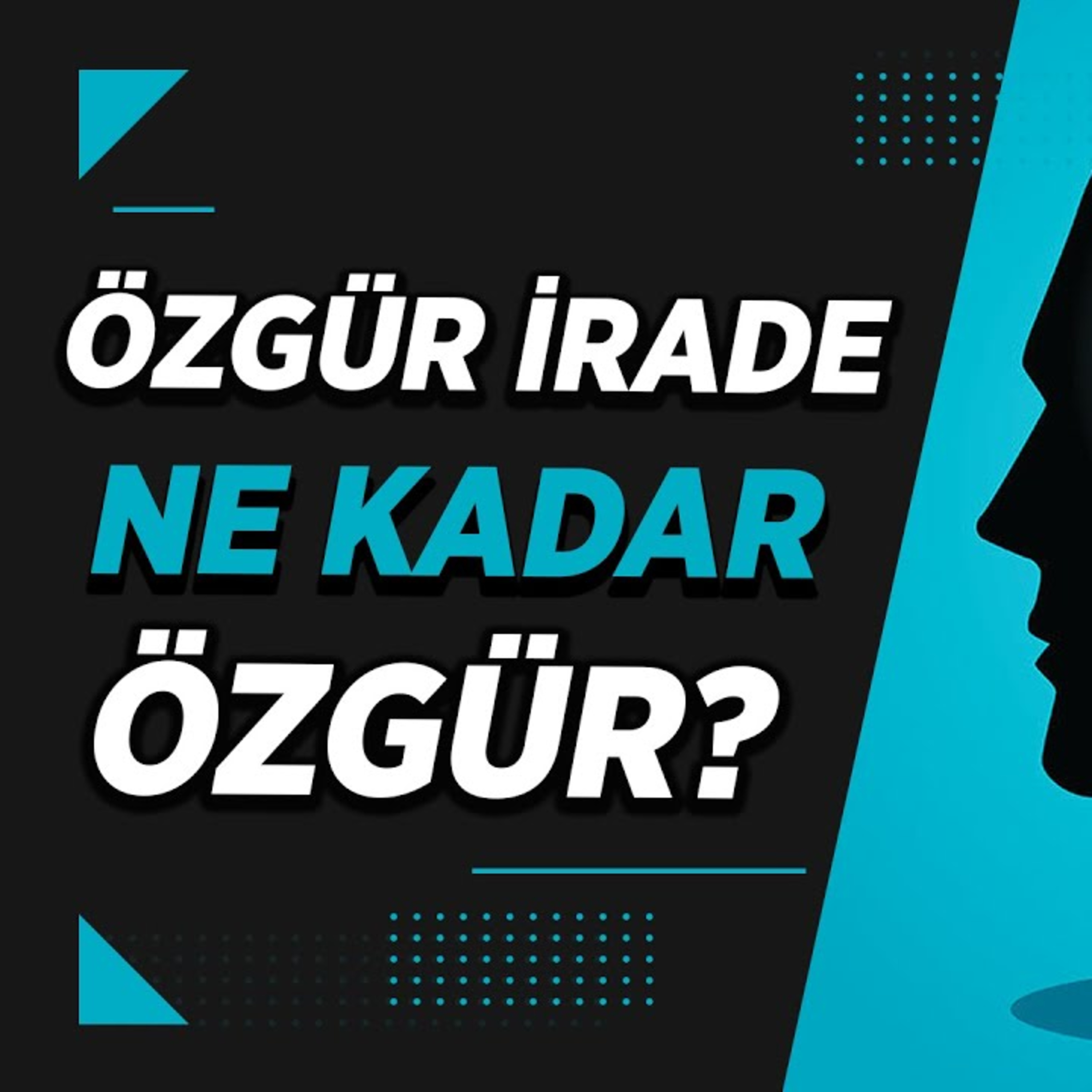 Diamond Tema Videoları