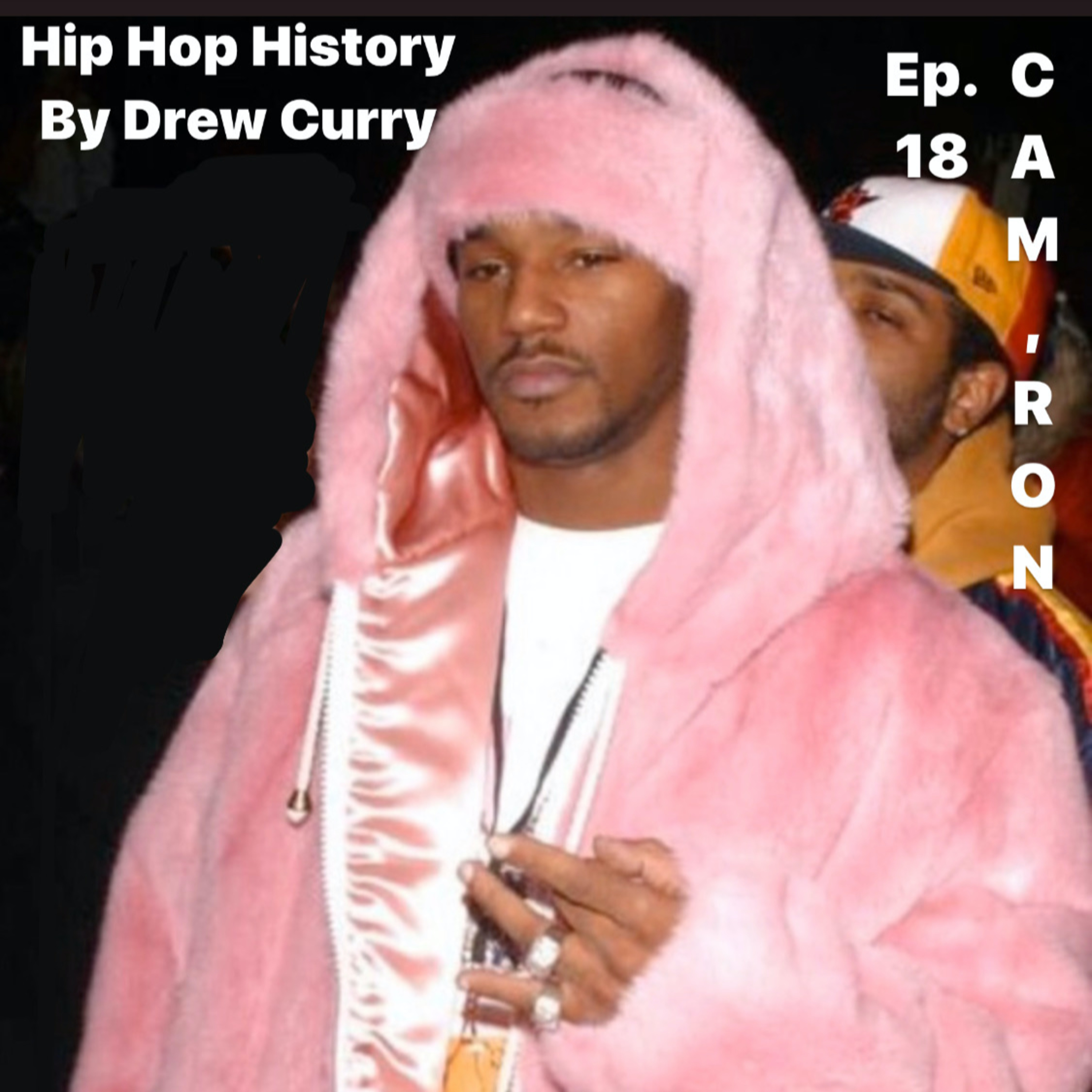 Hip Hop History by Drew Curry