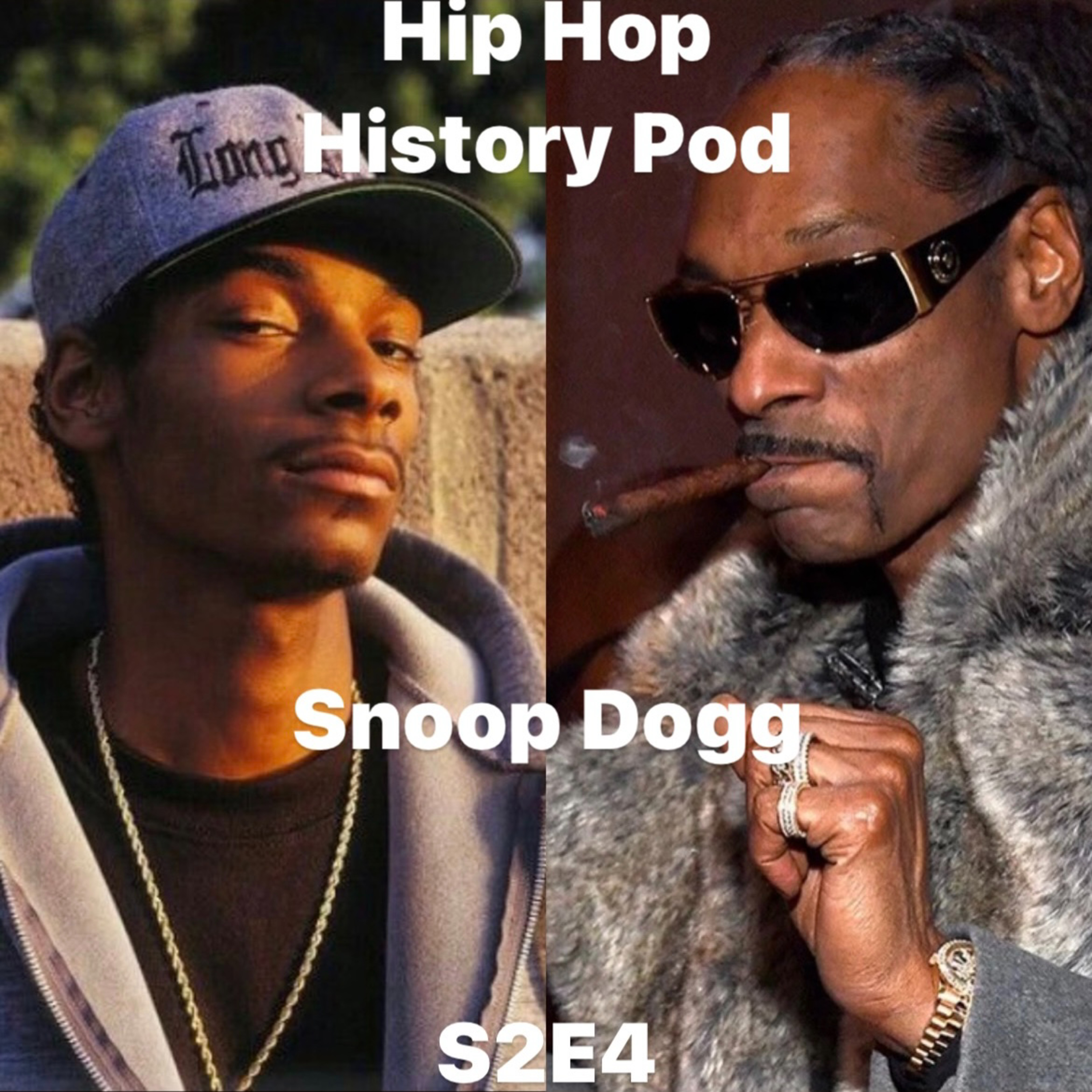 Hip Hop History by Drew Curry