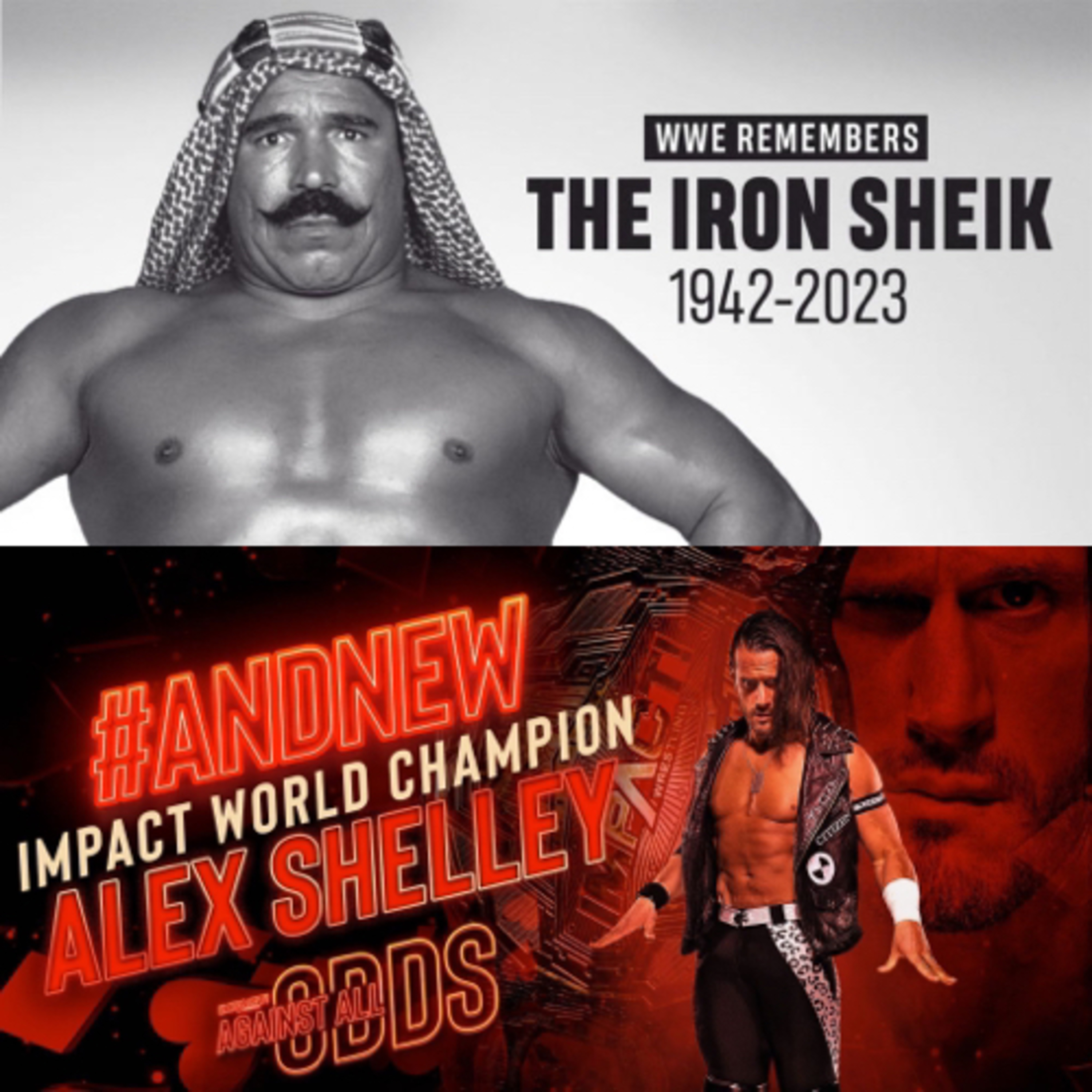 Remembering The Iron Sheik & Alex Shelly NEW World Champion Episode 273 episode artwork