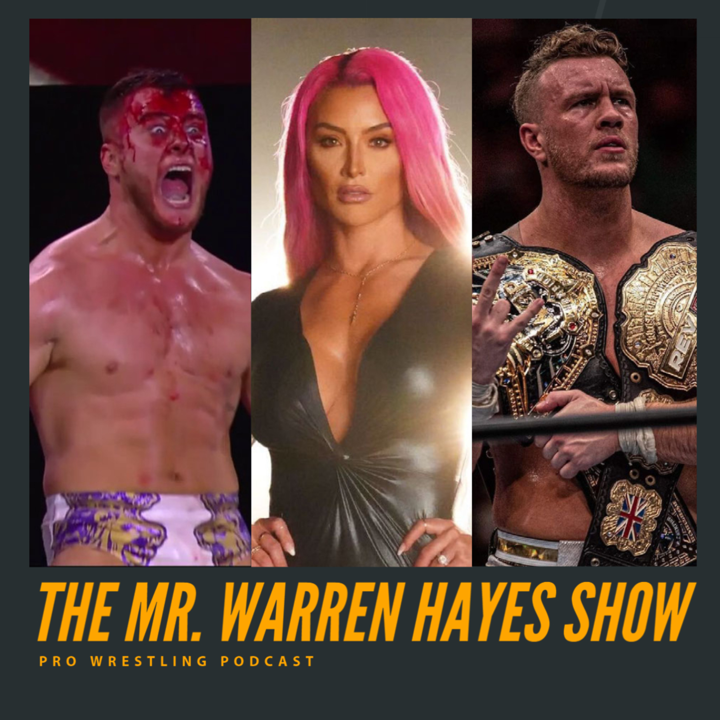 The Mr. Warren Hayes Show, a pro wrestling podcast