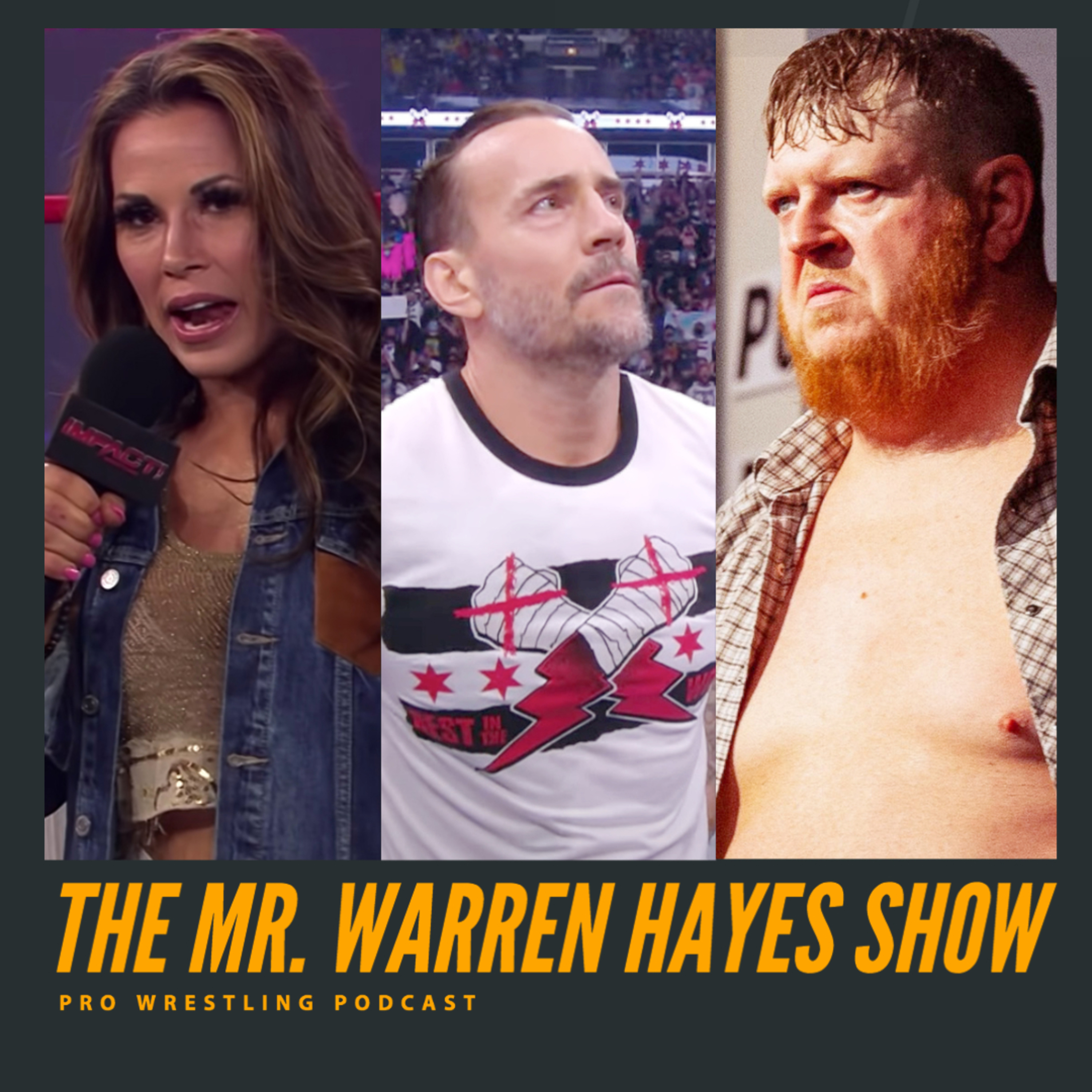 The Mr. Warren Hayes Show, a pro wrestling podcast